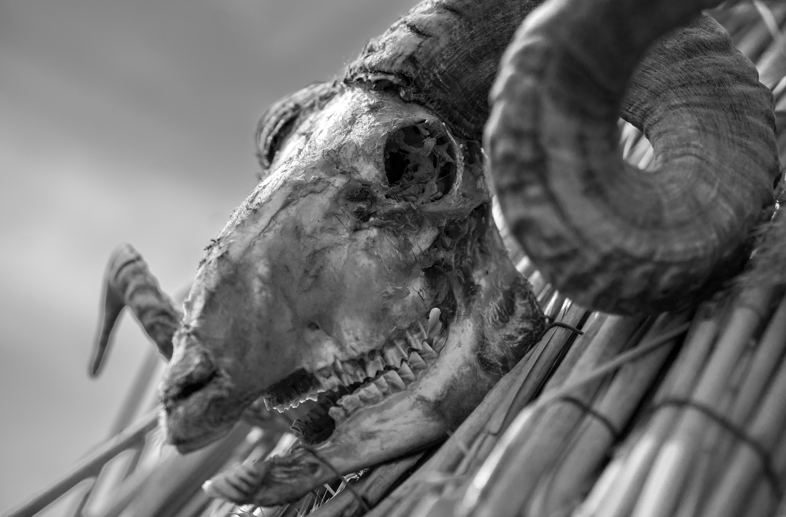 Азербайджан (апрель 2018). Фотограф Сергей Танков