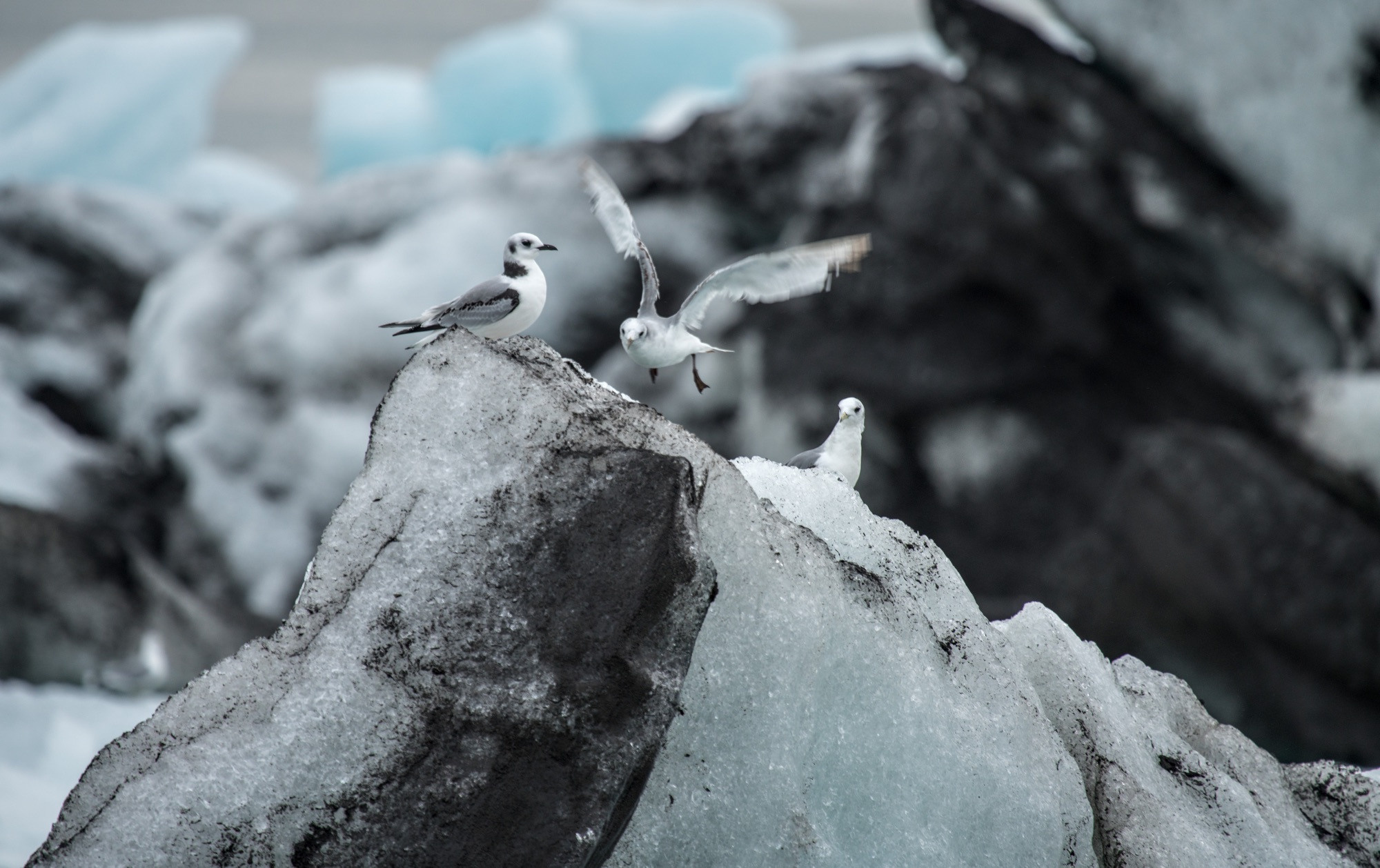 Исландия (август 2018). Фотограф Сергей Танков