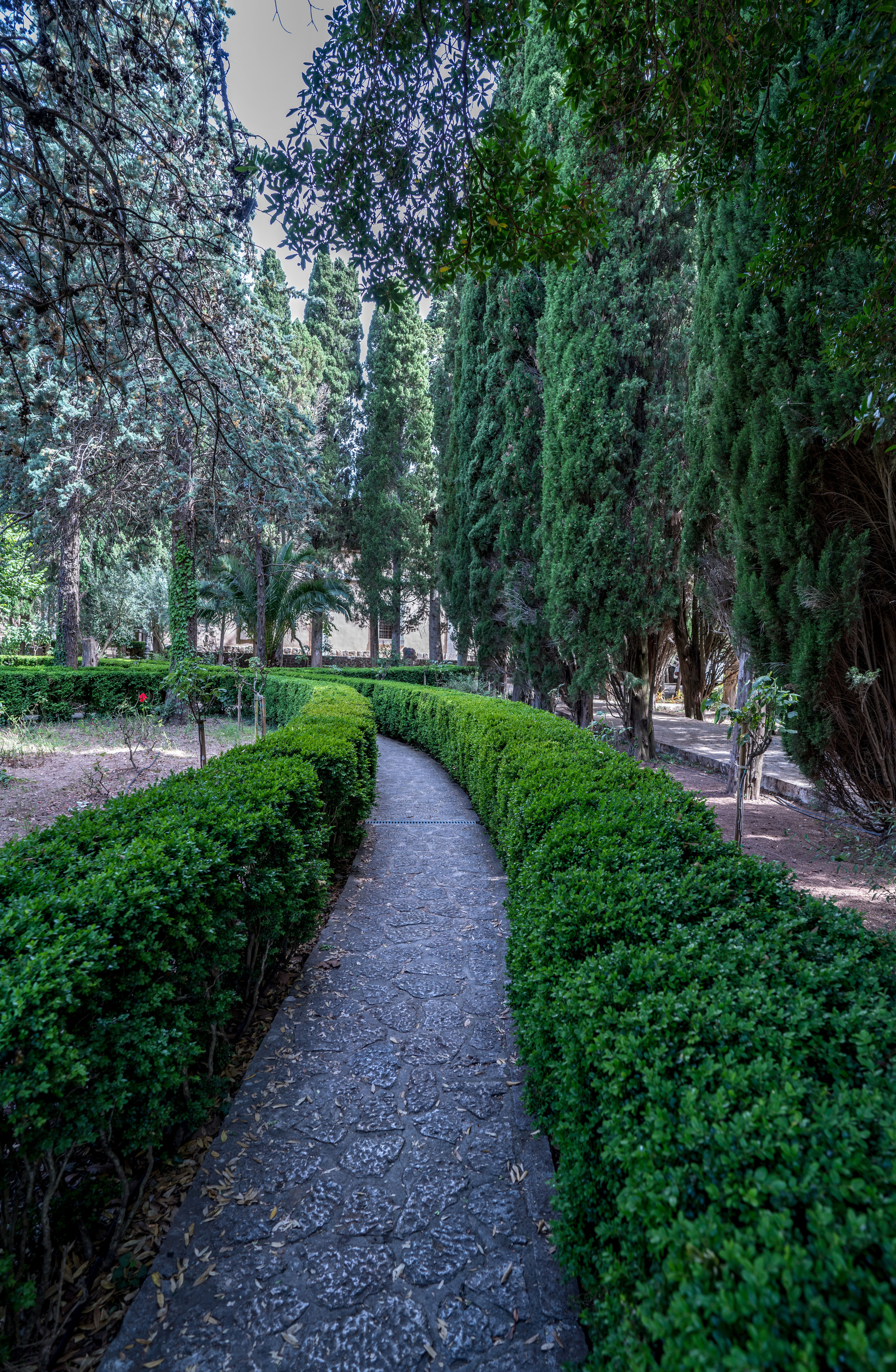 Майорка (июль 2018). Фотограф Сергей Танков