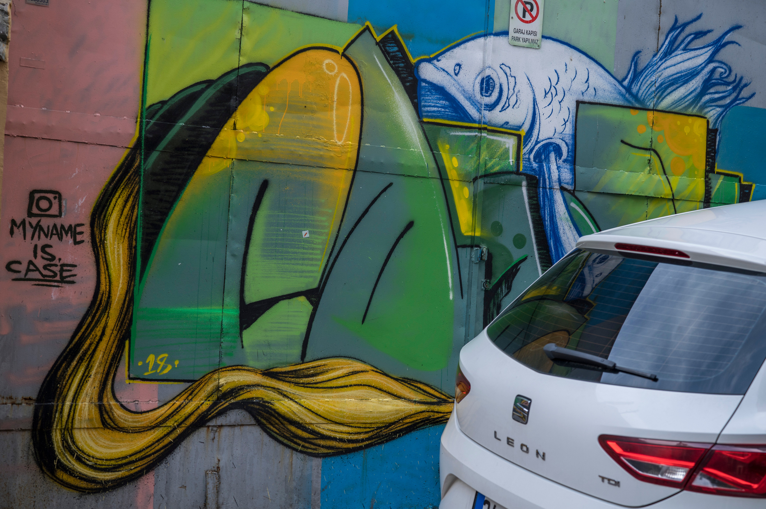 Стамбул (ноябрь 2018). Фотограф Сергей Танков