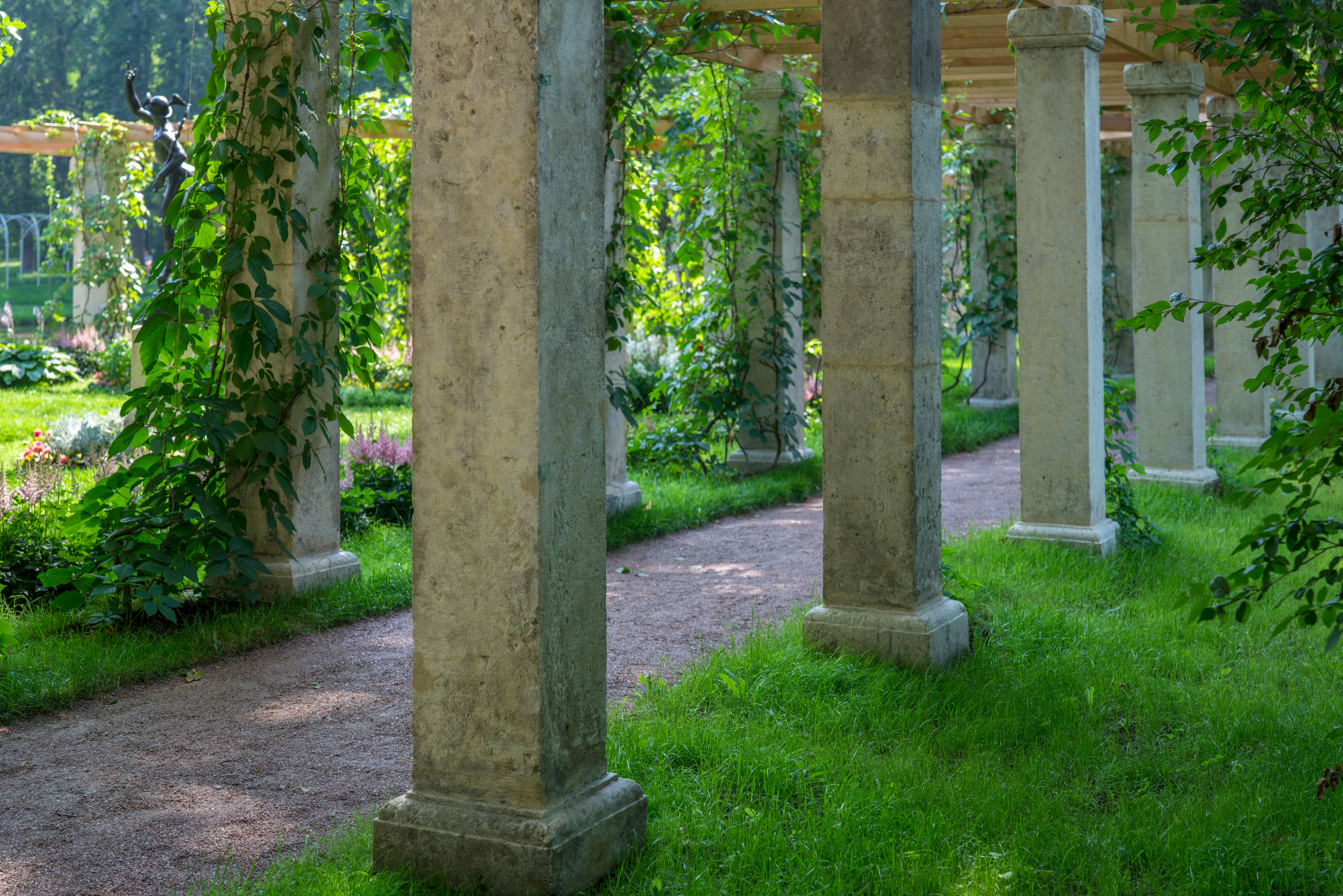 Питер (июль 2018). Фотограф Сергей Танков