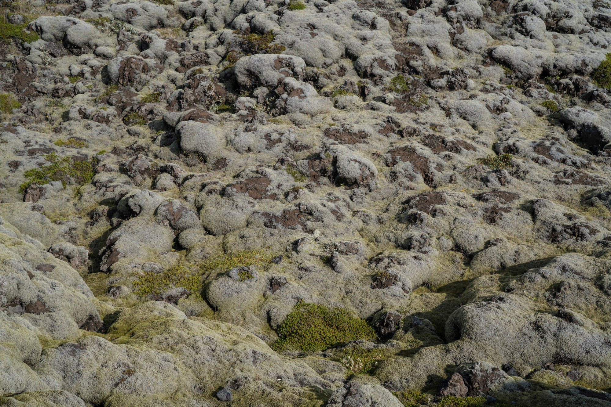 Исландия (август 2018). Фотограф Сергей Танков