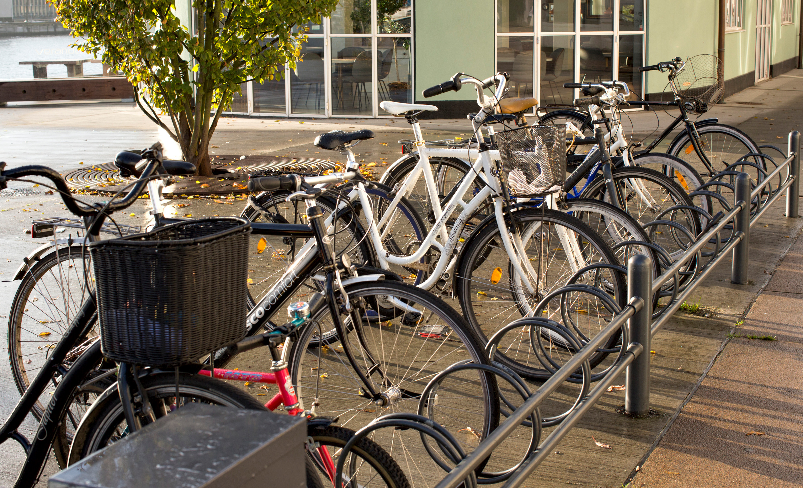 Копенгаген (ноябрь 2012). Фотограф Сергей Танков
