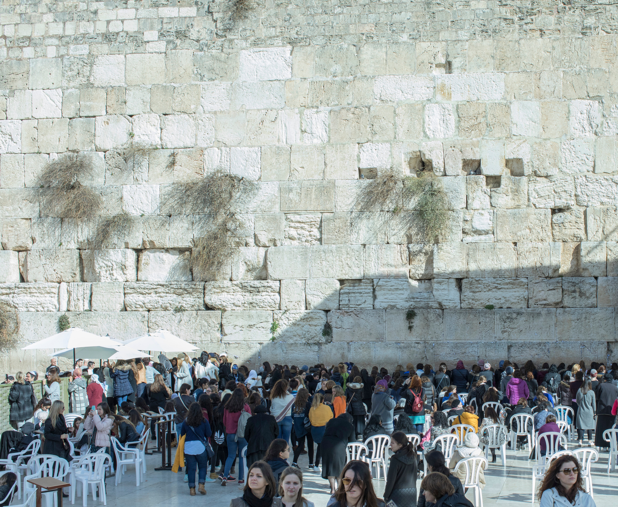 Израиль (январь 2017). Фотограф Сергей Танков