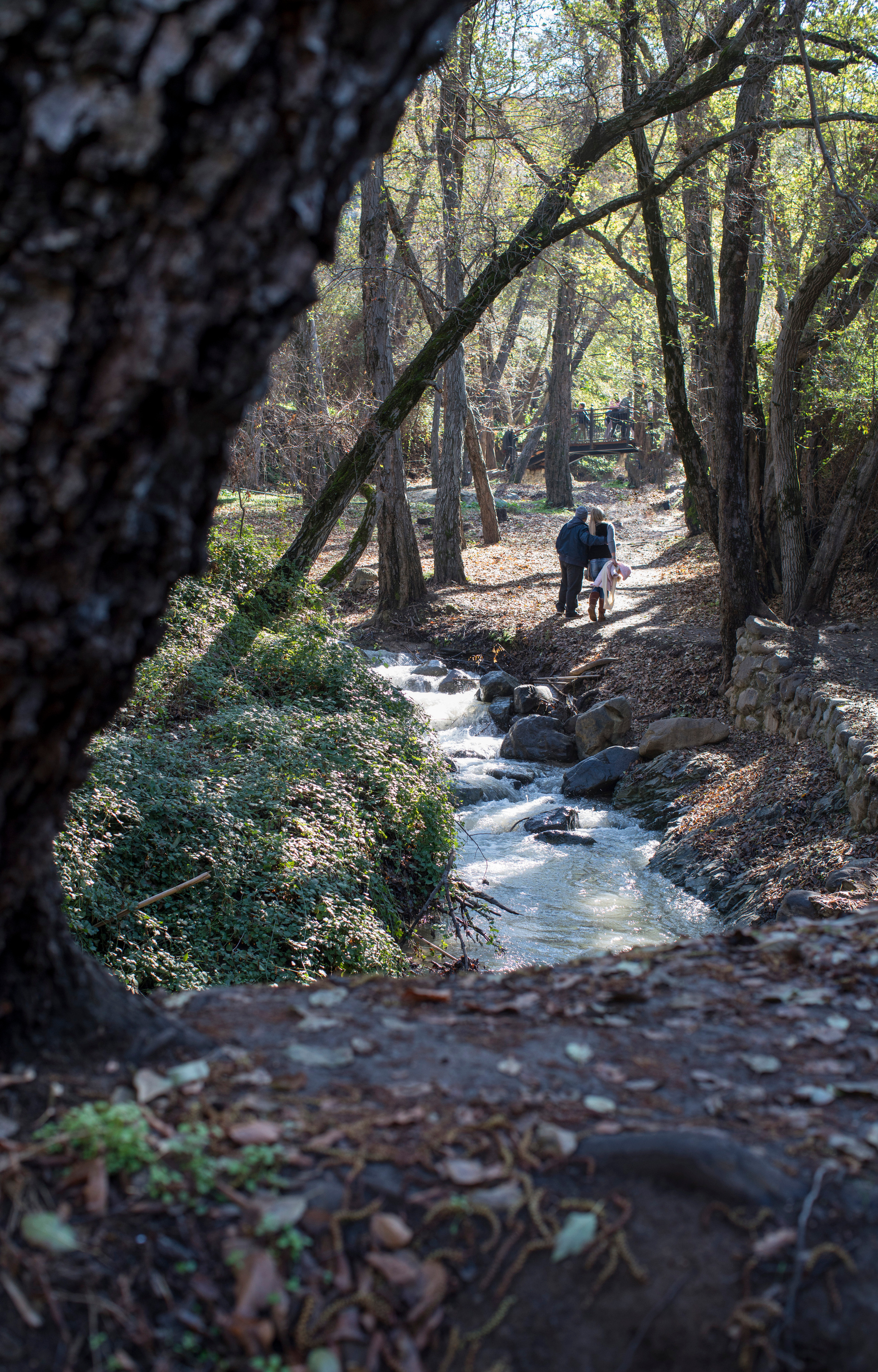 Кипр (январь 2018). Фотограф Сергей Танков