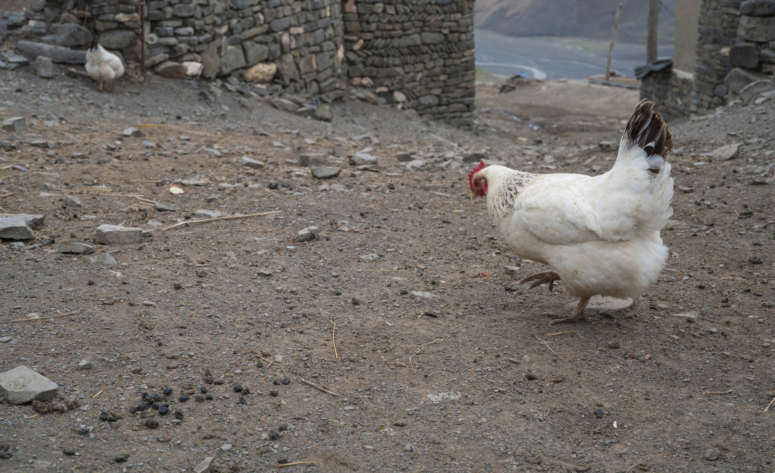 Азербайджан (апрель 2018). Фотограф Сергей Танков