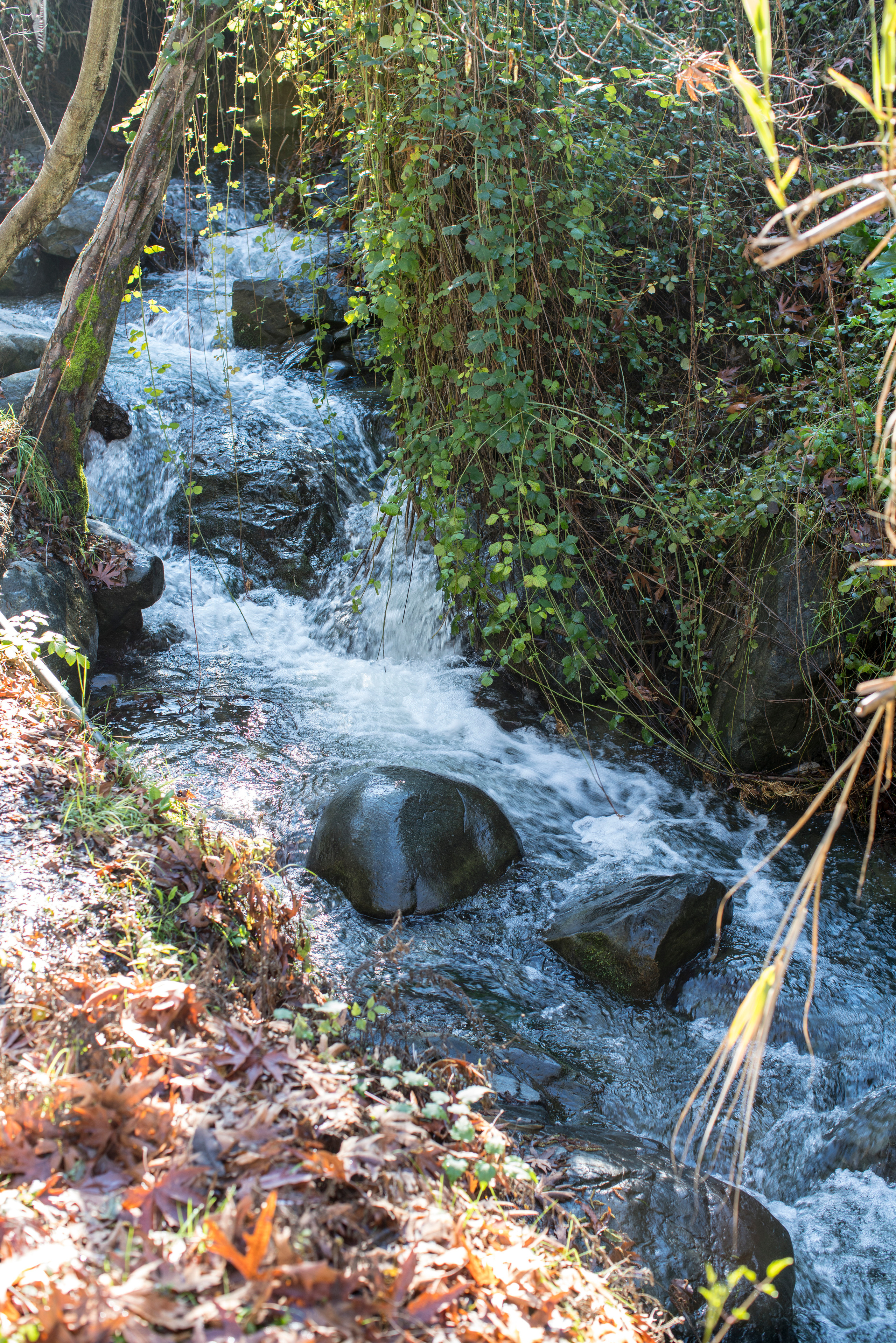 Кипр (январь 2018). Фотограф Сергей Танков