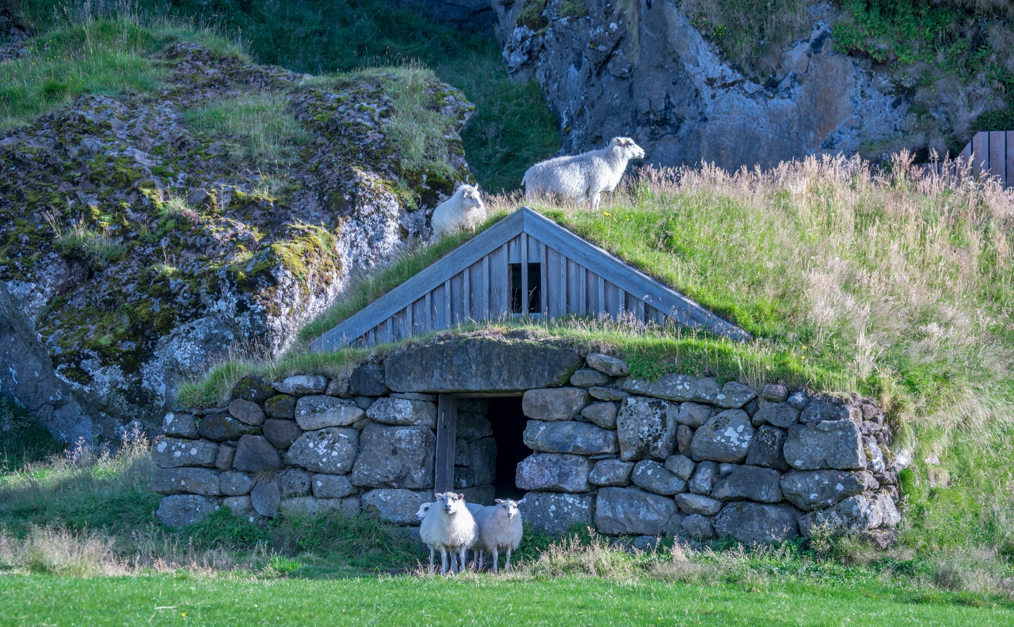 Исландия (август 2018). Фотограф Сергей Танков