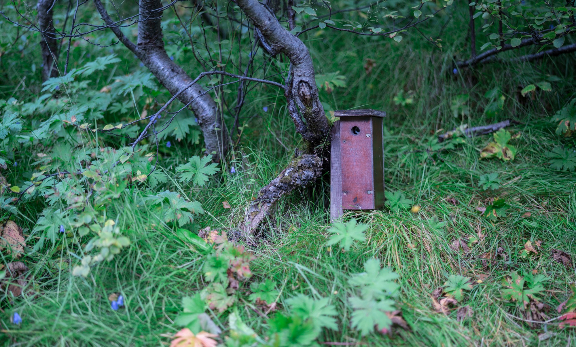 Исландия (август 2018). Фотограф Сергей Танков
