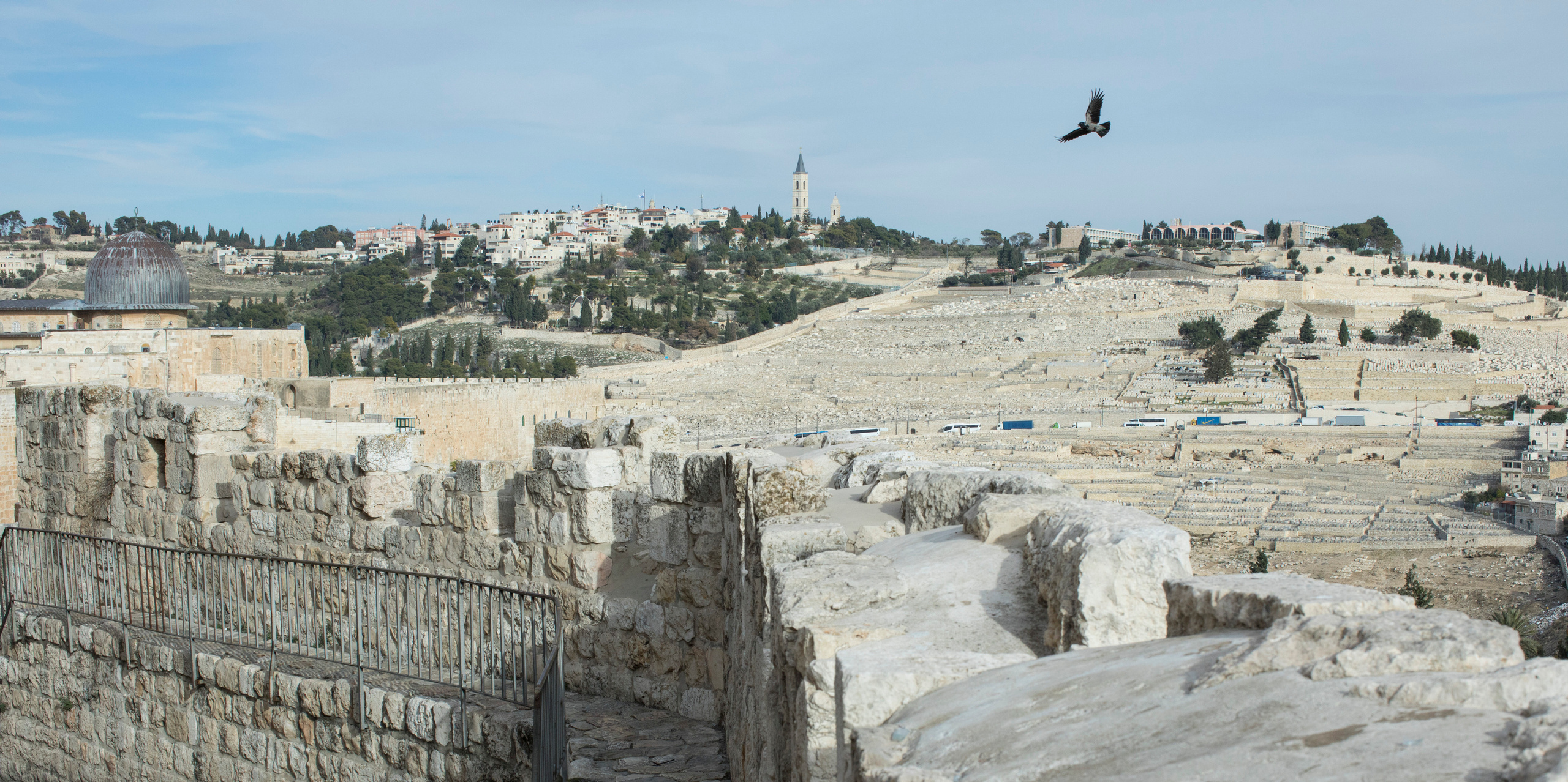 Израиль (январь 2017). Фотограф Сергей Танков