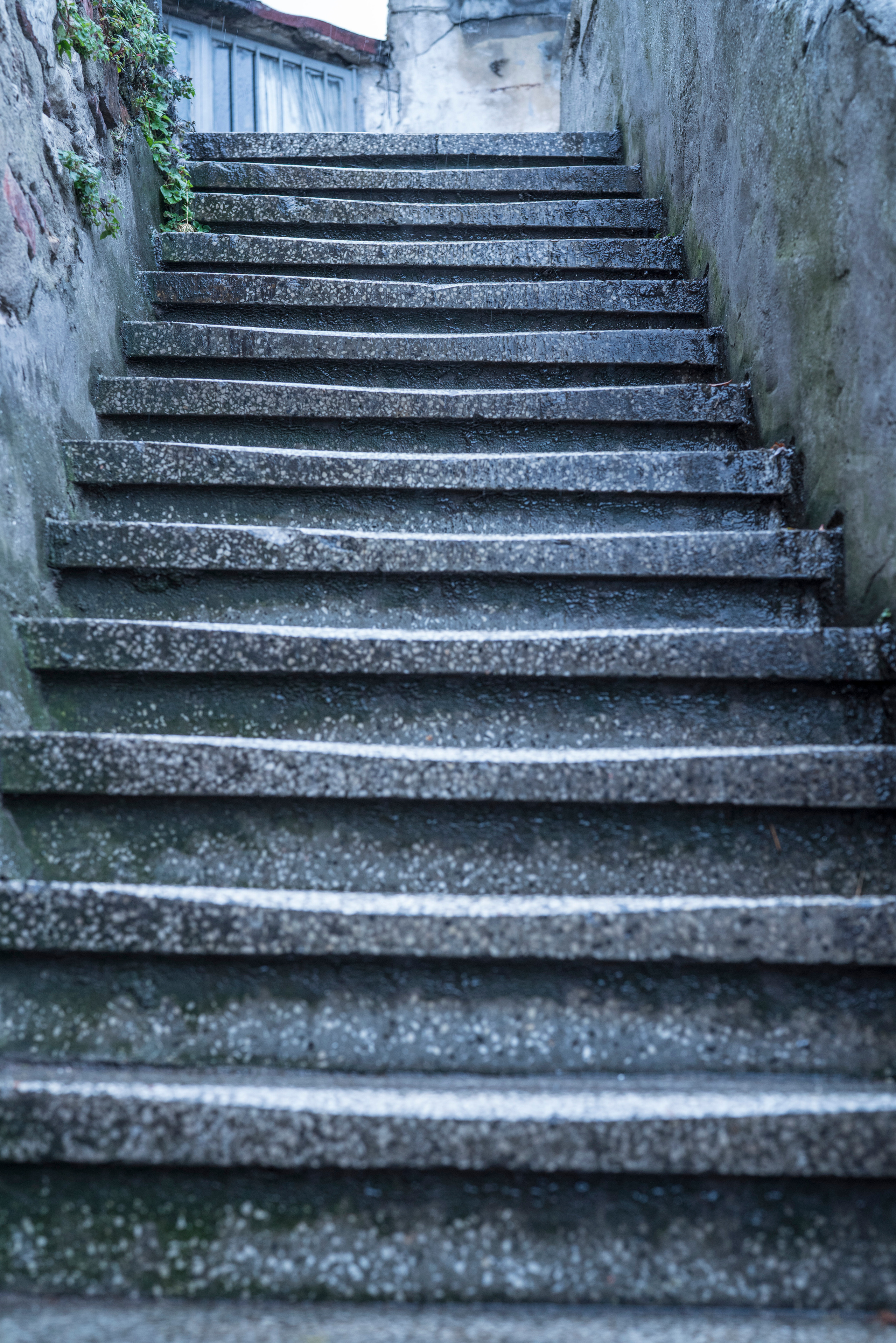 Стамбул (ноябрь 2018). Фотограф Сергей Танков