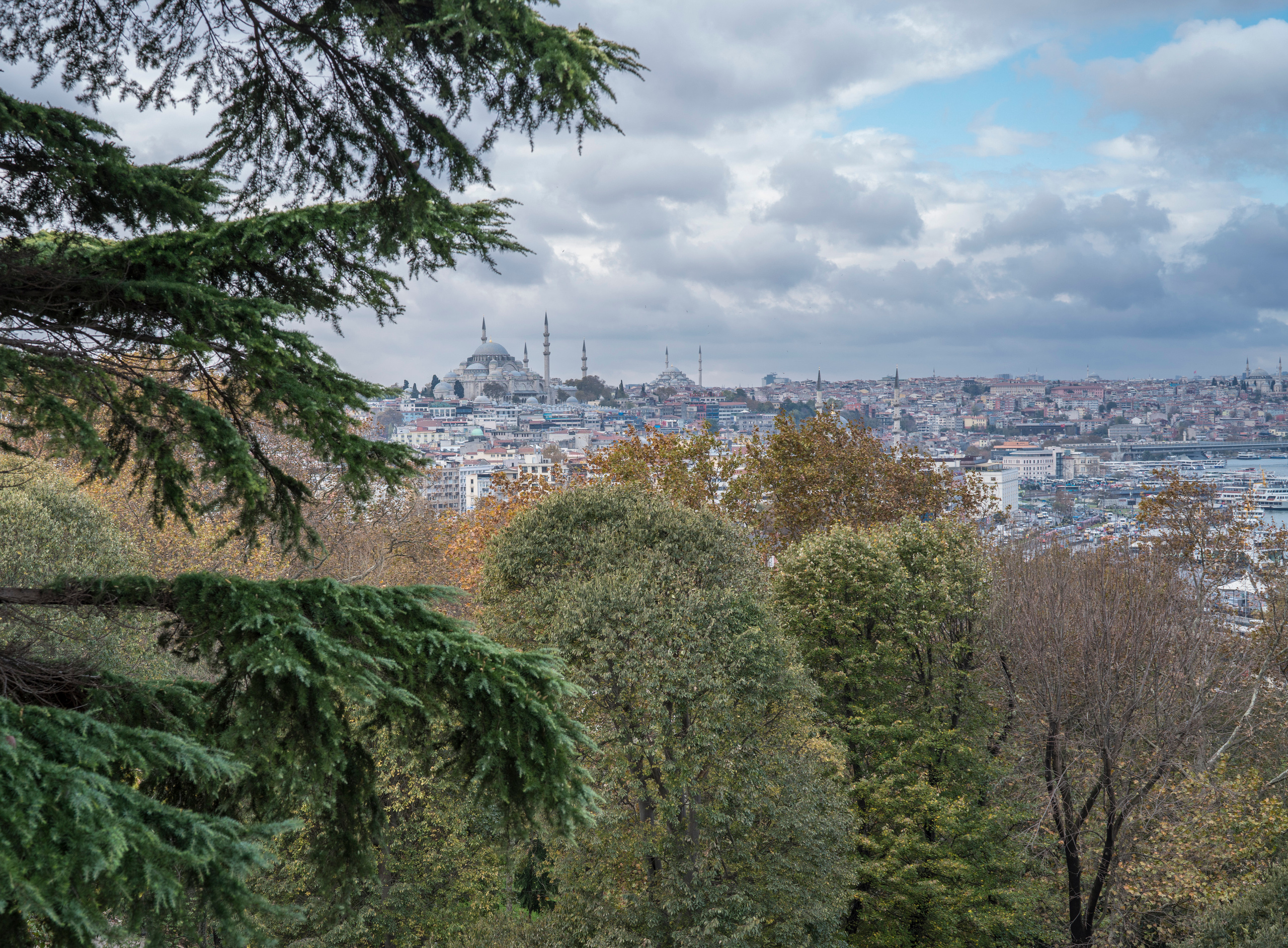 Стамбул (ноябрь 2018). Фотограф Сергей Танков