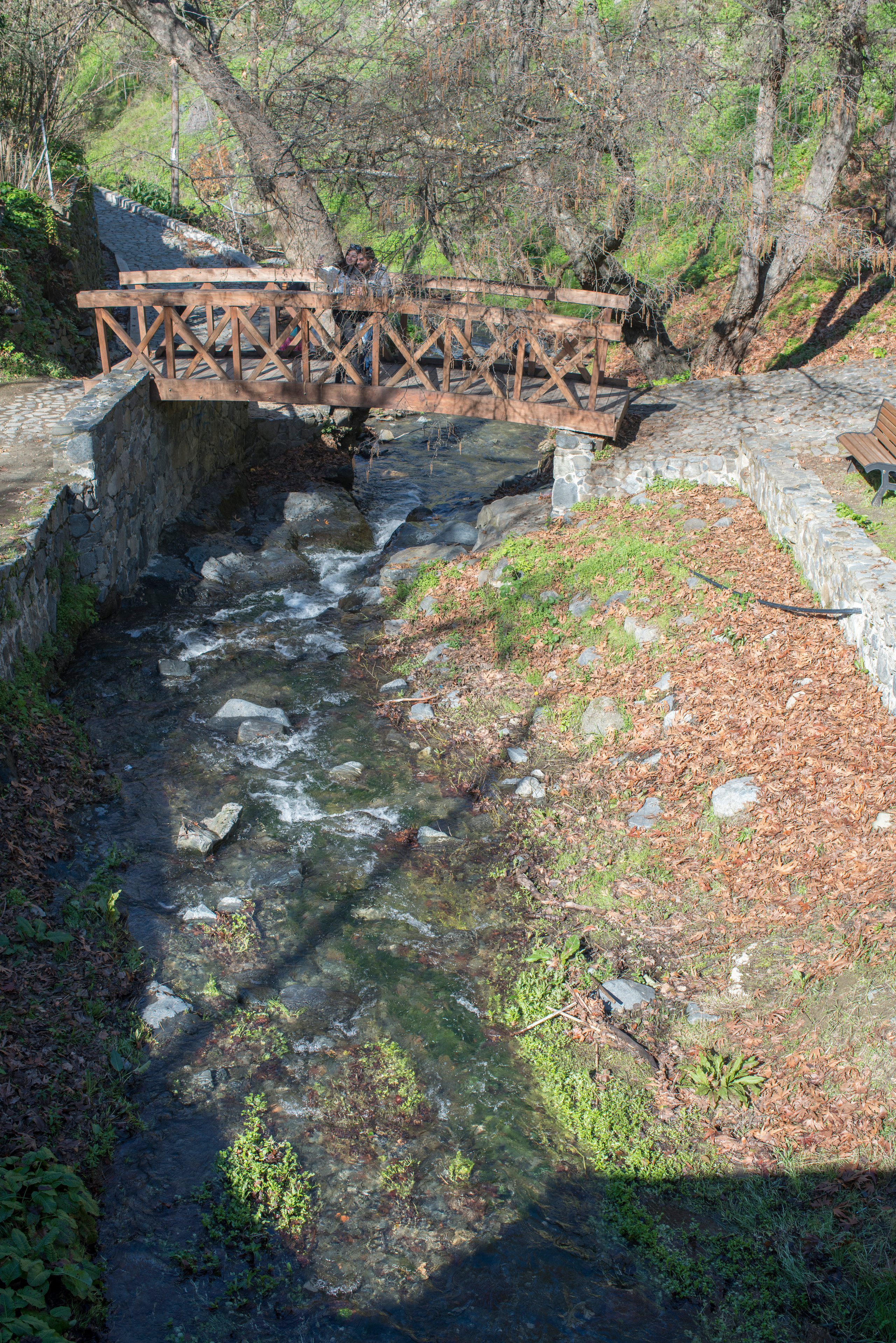 Кипр (январь 2018). Фотограф Сергей Танков