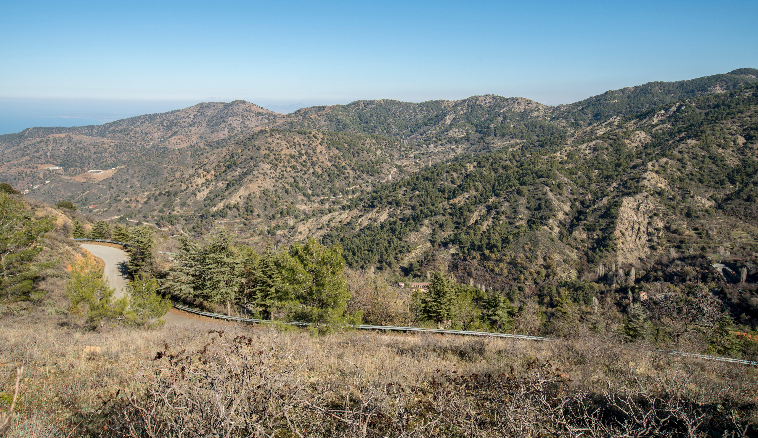 Кипр (январь 2018). Фотограф Сергей Танков