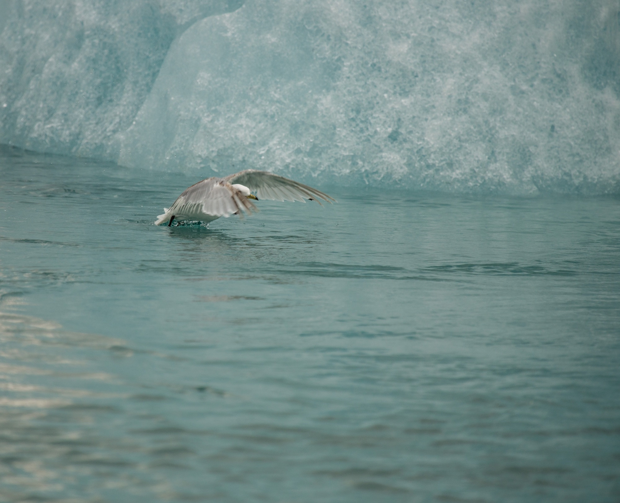 Исландия (август 2018). Фотограф Сергей Танков