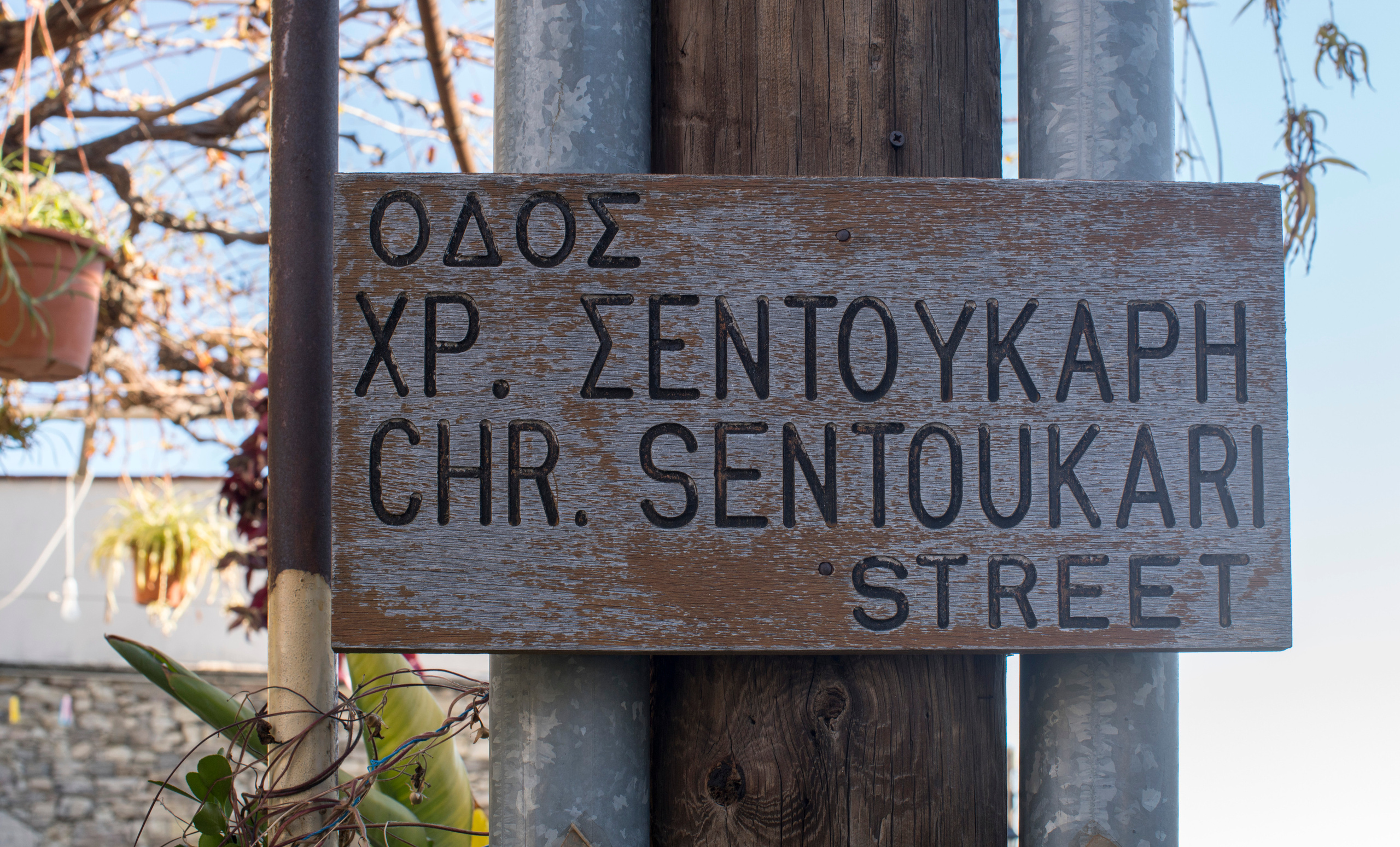 Кипр (январь 2018). Фотограф Сергей Танков