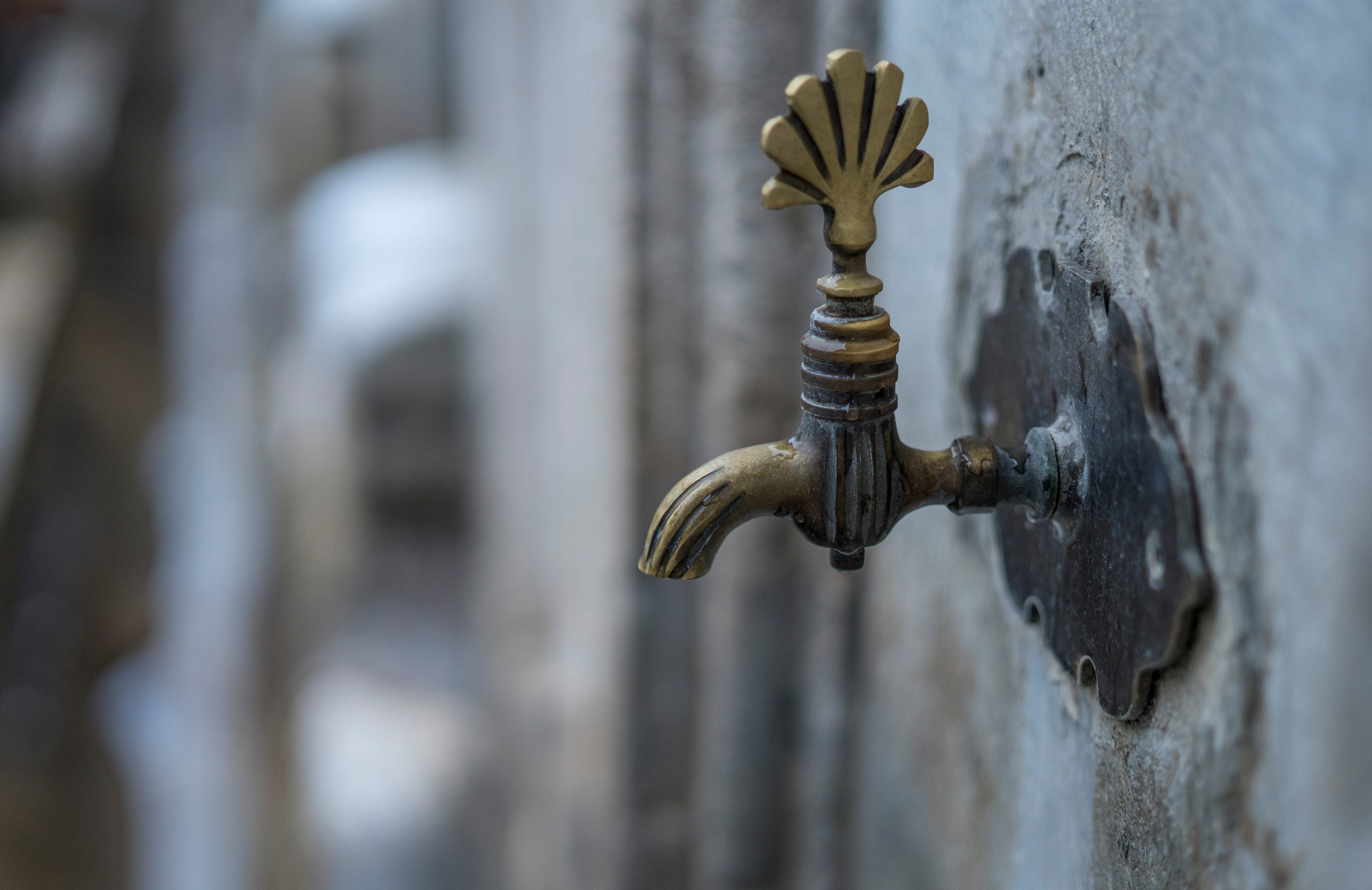 Стамбул (ноябрь 2018). Фотограф Сергей Танков