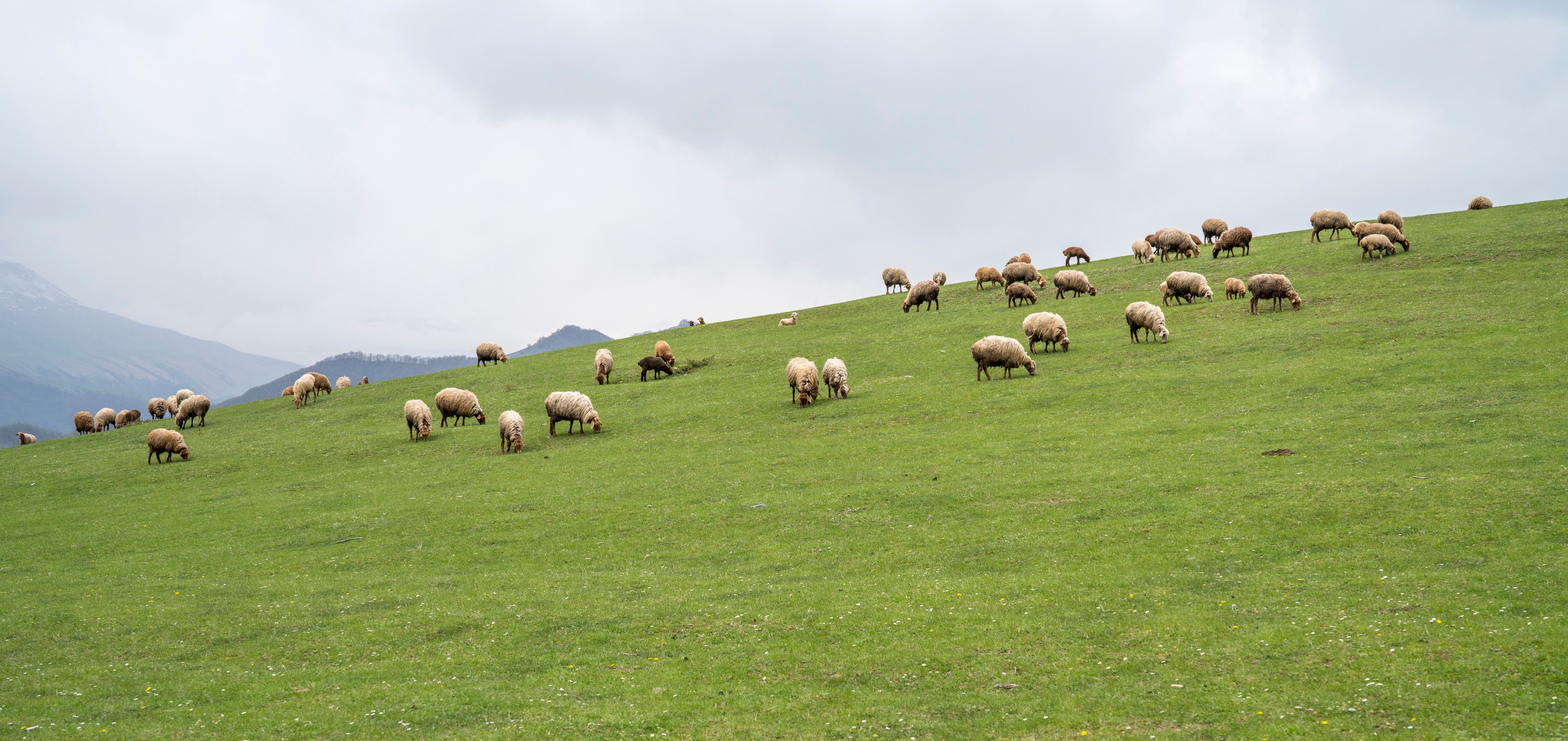 Азербайджан (апрель 2018). Фотограф Сергей Танков