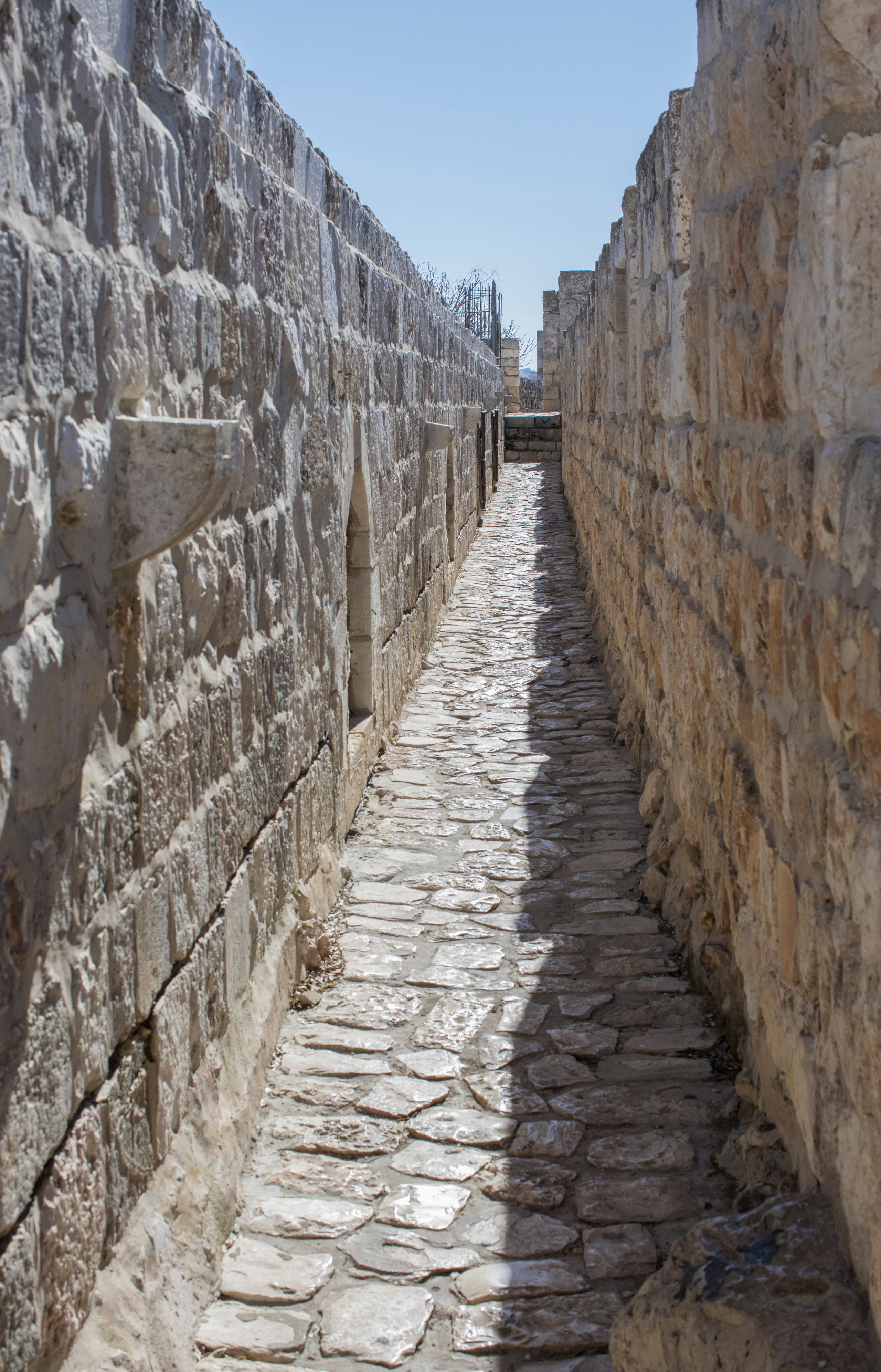 Израиль (январь 2017). Фотограф Сергей Танков