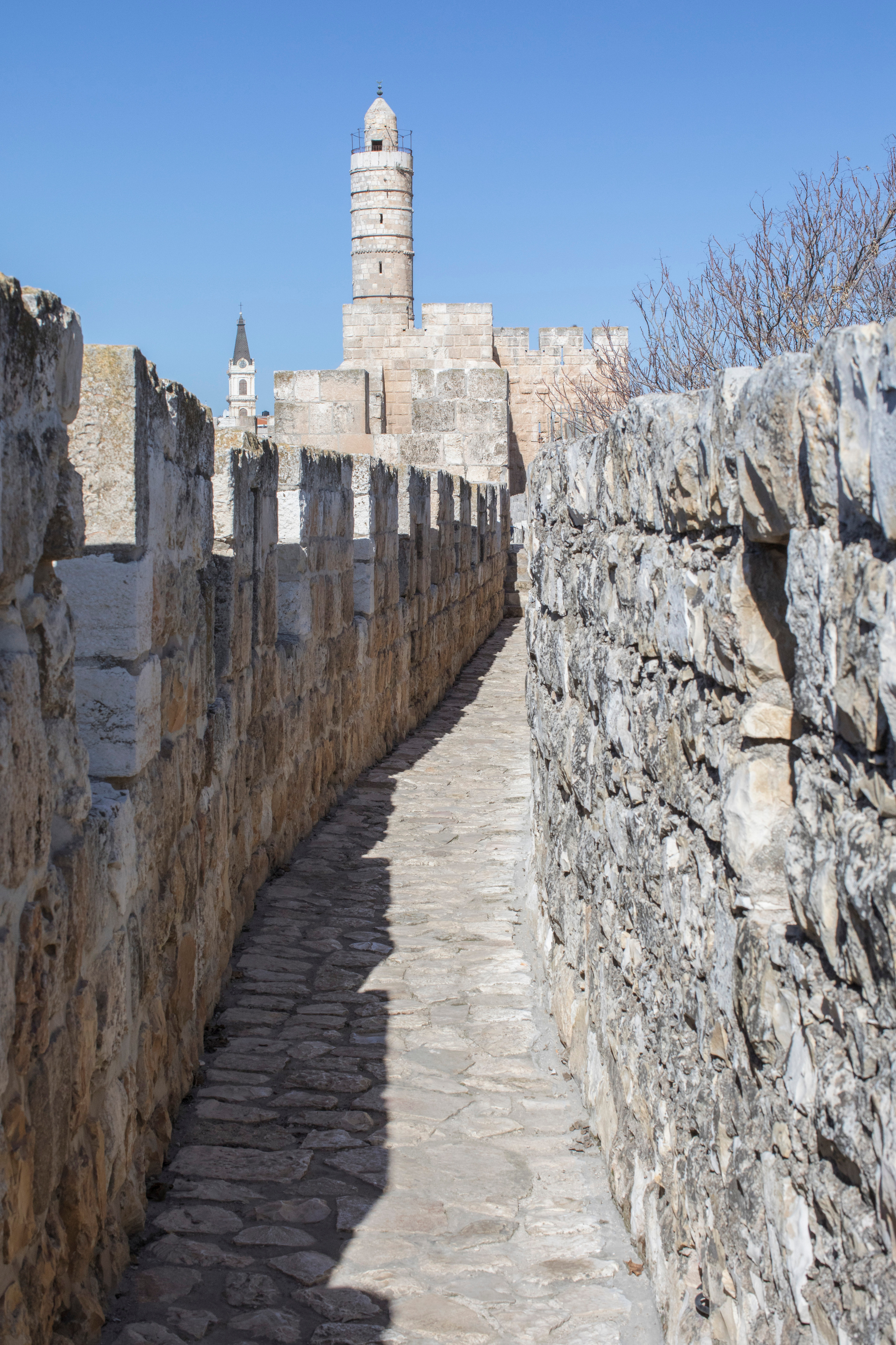 Израиль (январь 2017). Фотограф Сергей Танков