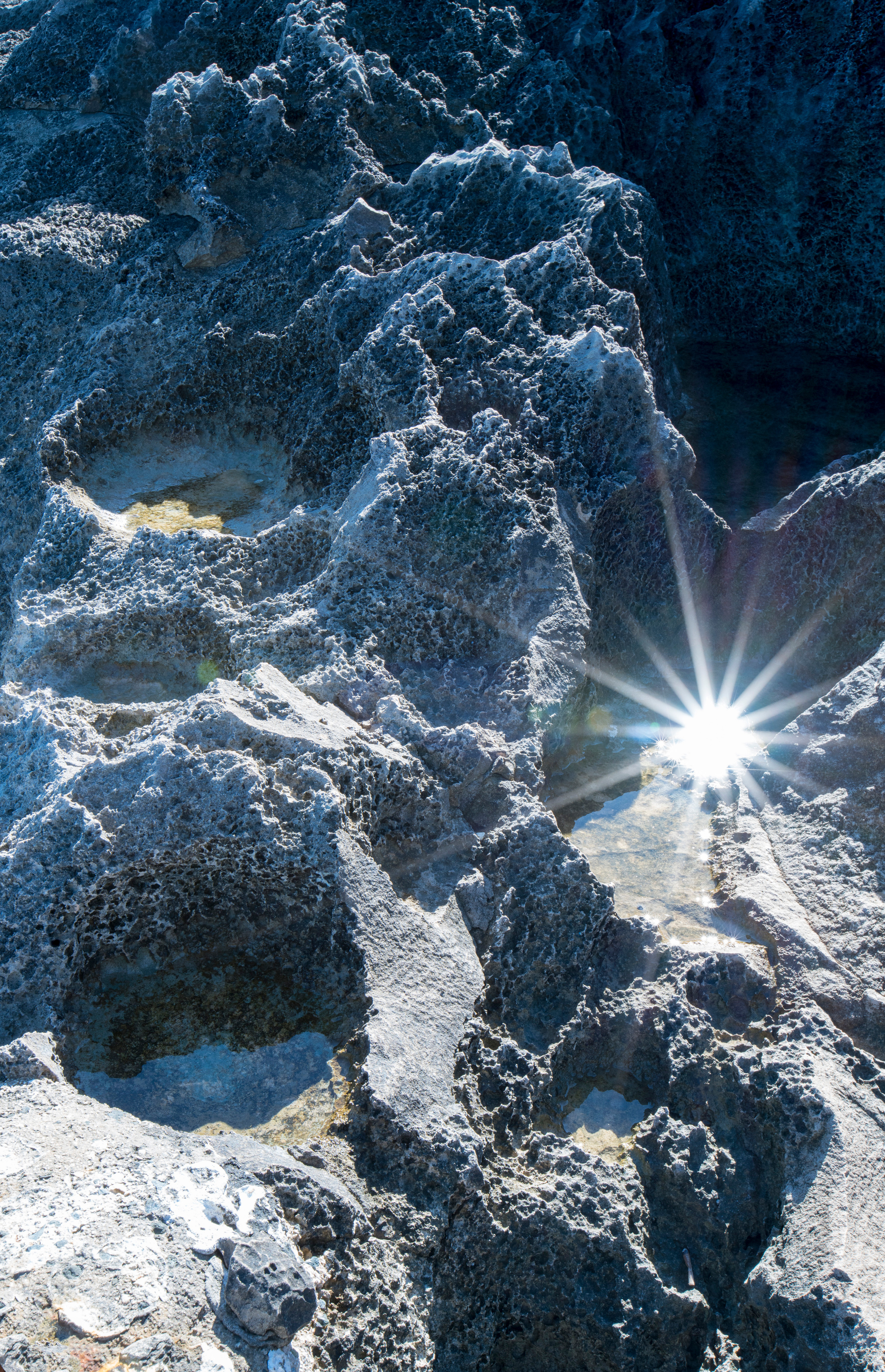 Кипр (январь 2018). Фотограф Сергей Танков