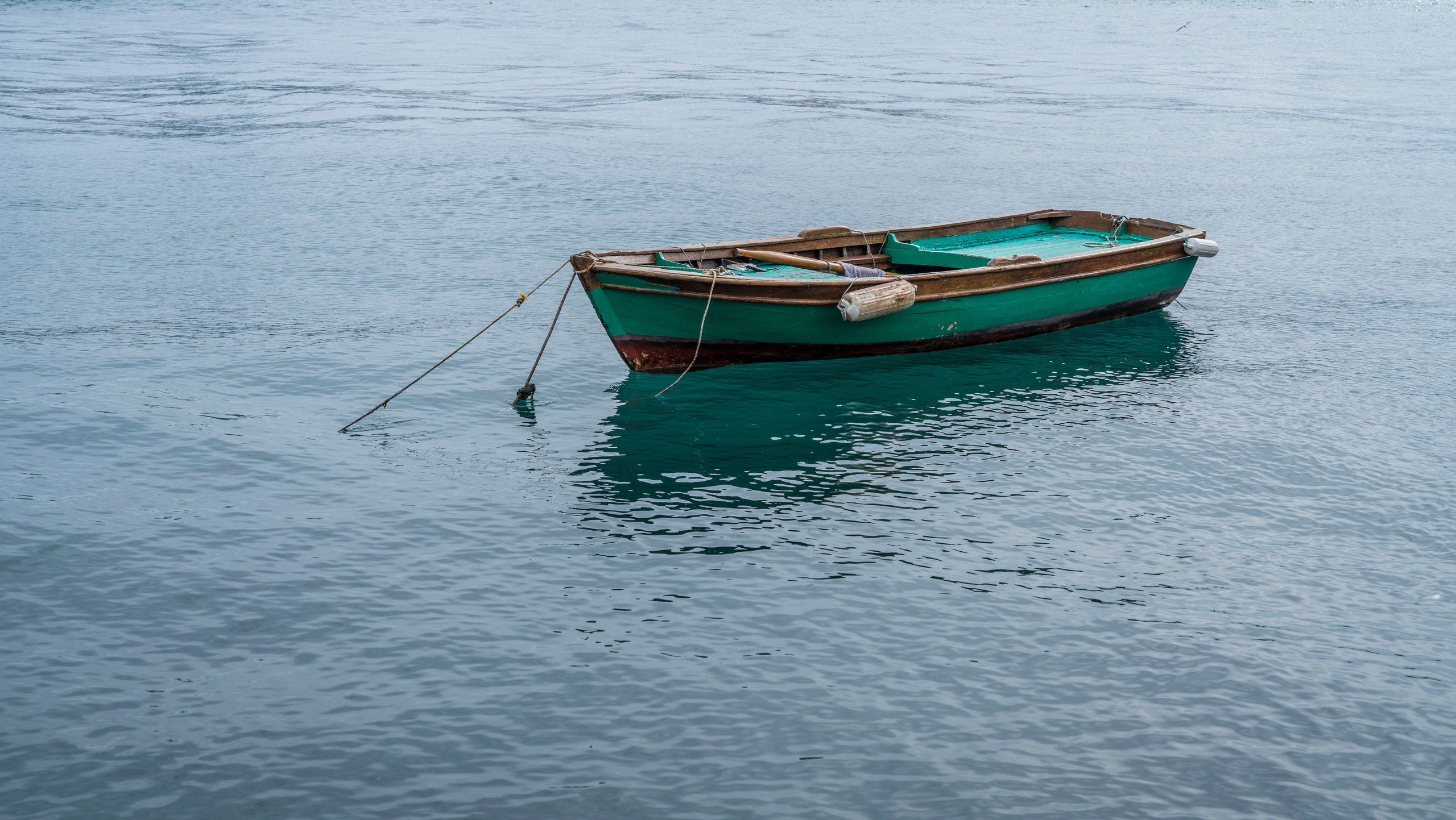 Стамбул (ноябрь 2018). Фотограф Сергей Танков