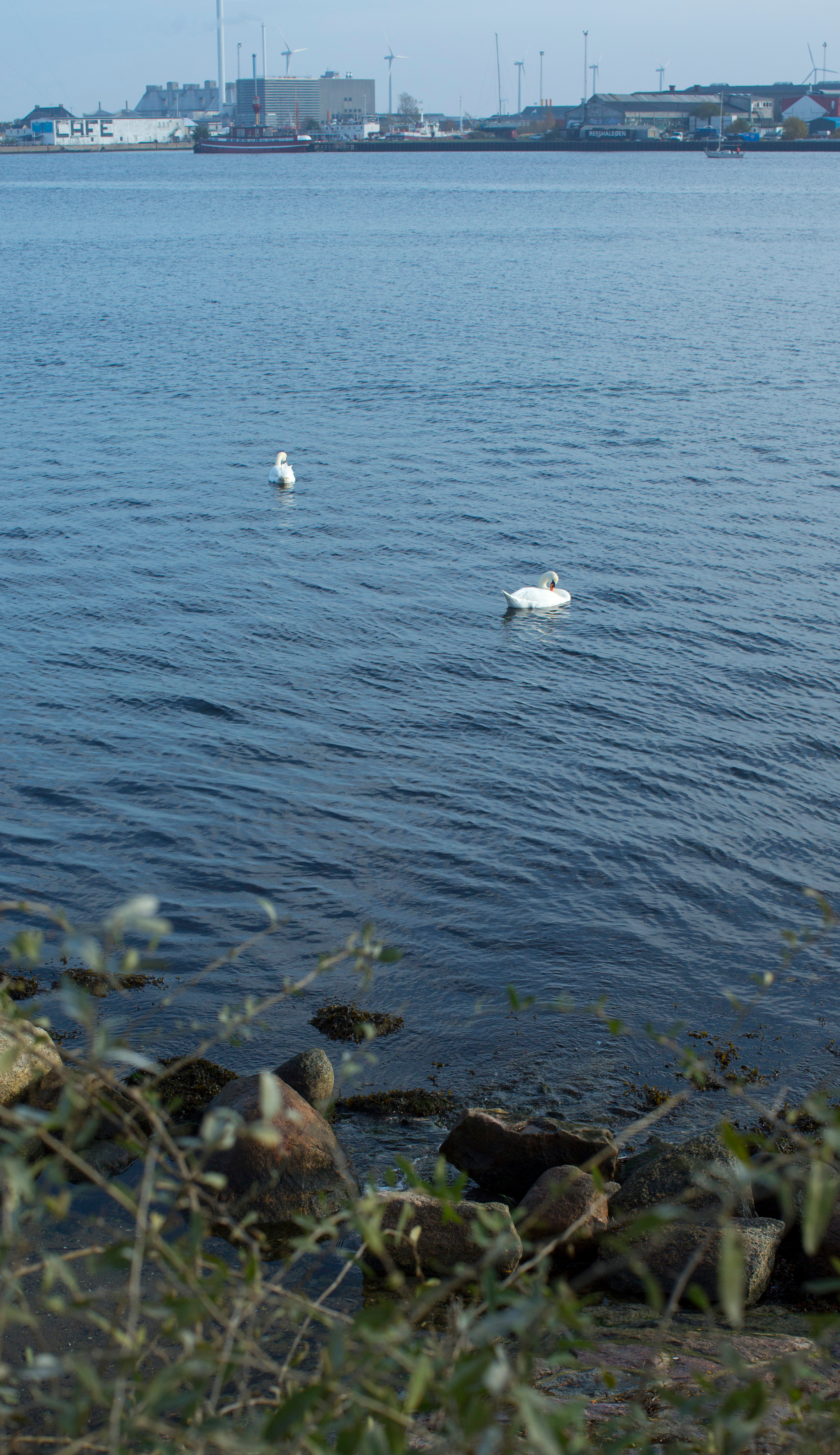 Копенгаген (ноябрь 2012). Фотограф Сергей Танков