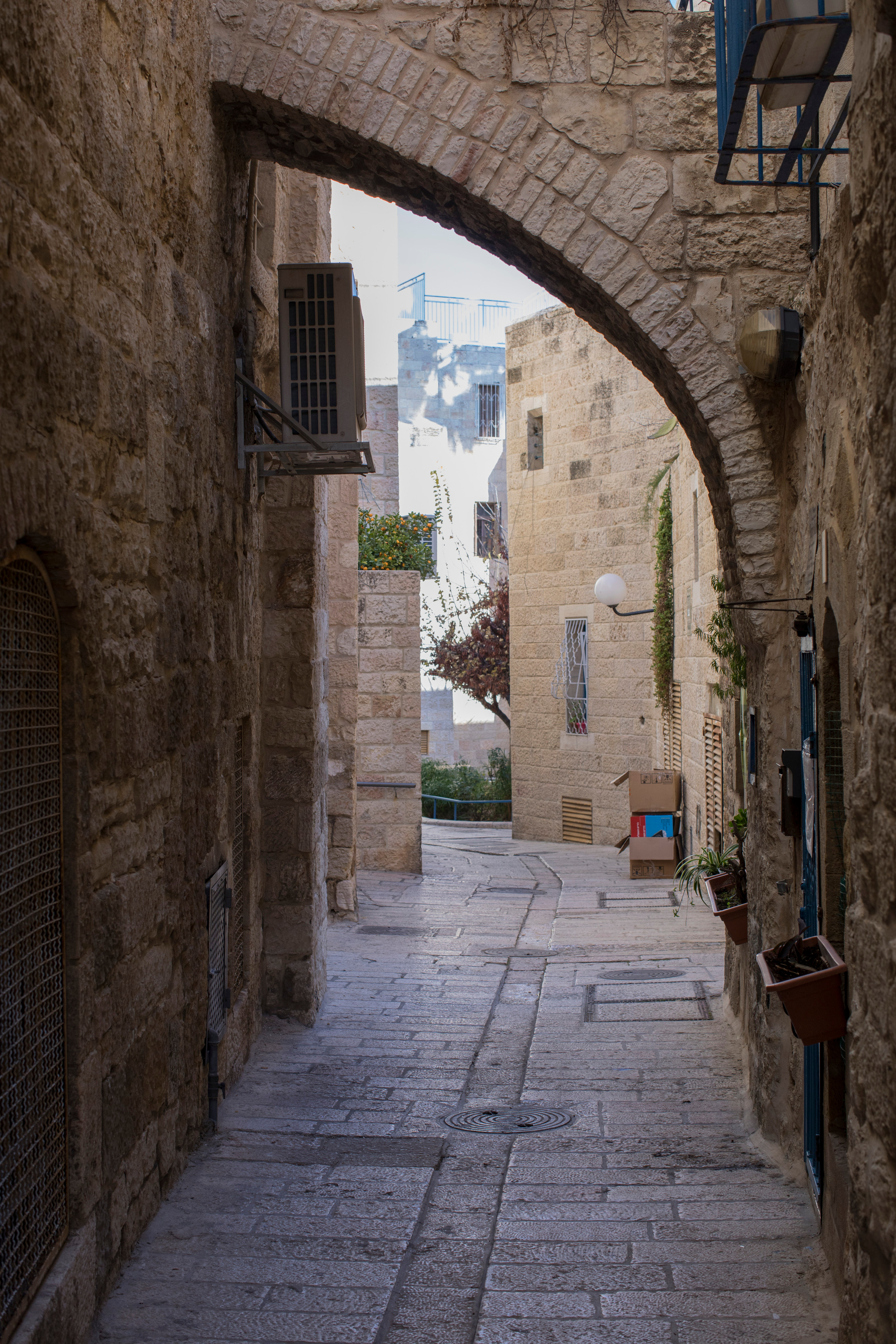 Израиль (январь 2017). Фотограф Сергей Танков