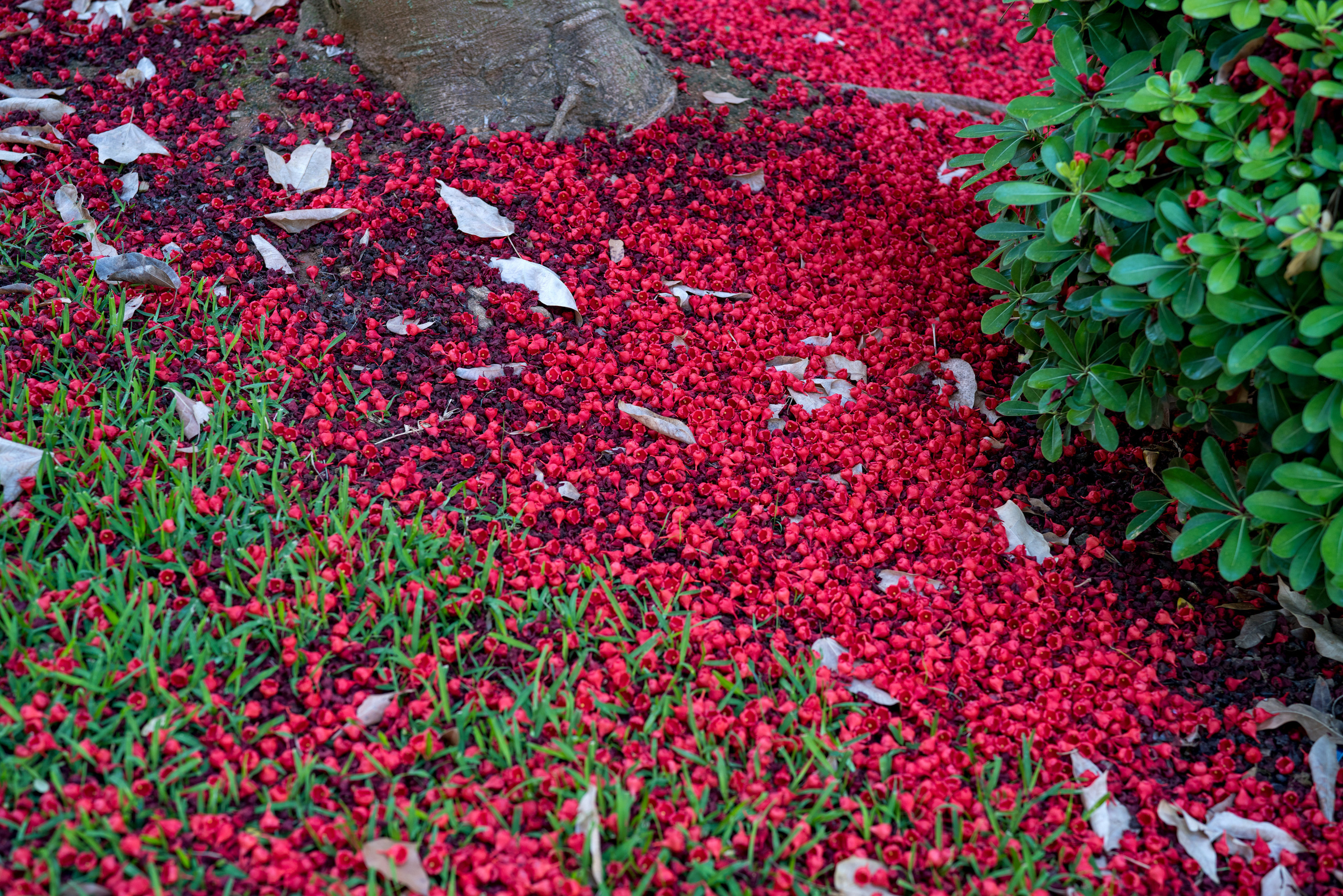 Майорка (июль 2018). Фотограф Сергей Танков