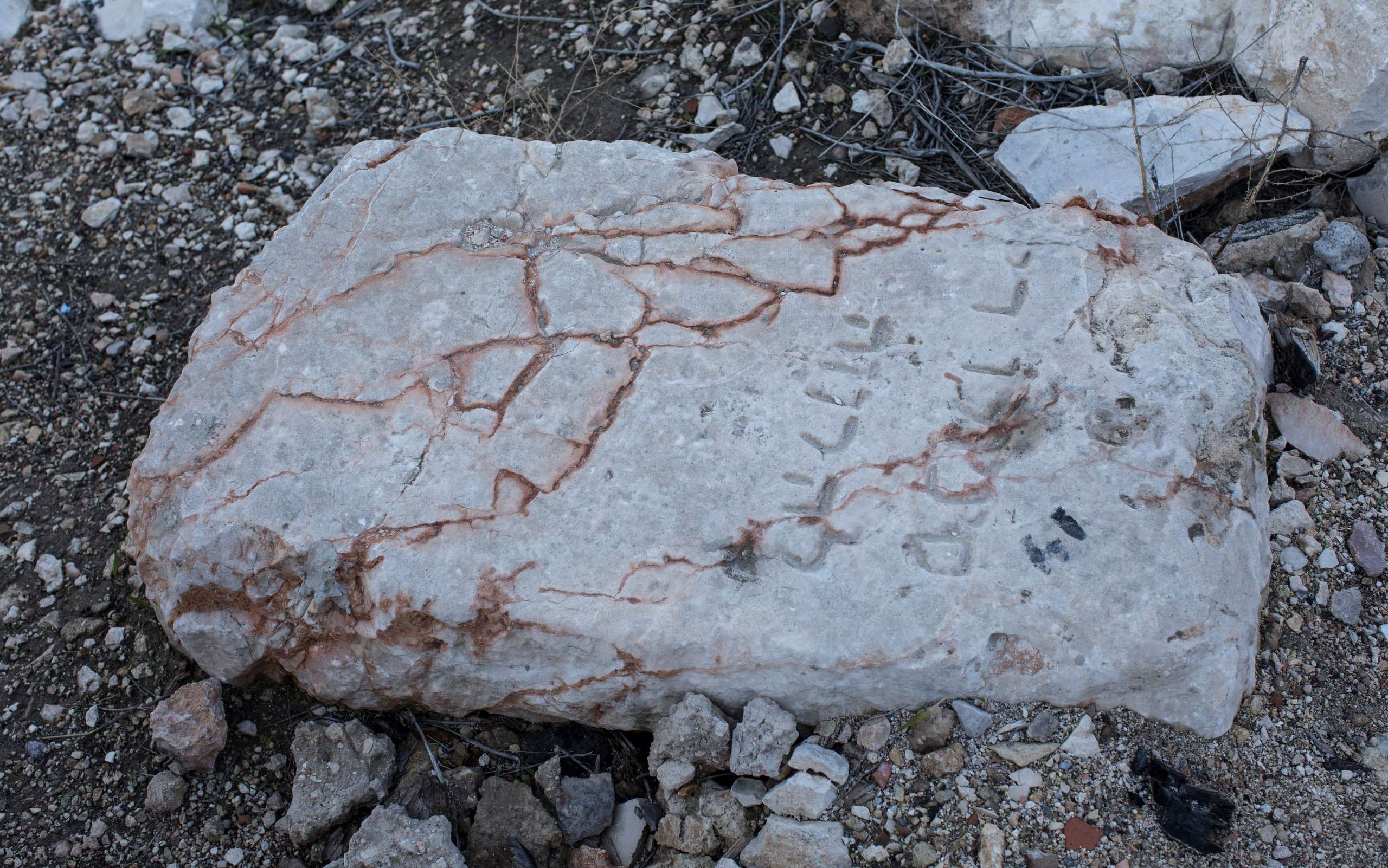 Израиль (январь 2017). Фотограф Сергей Танков