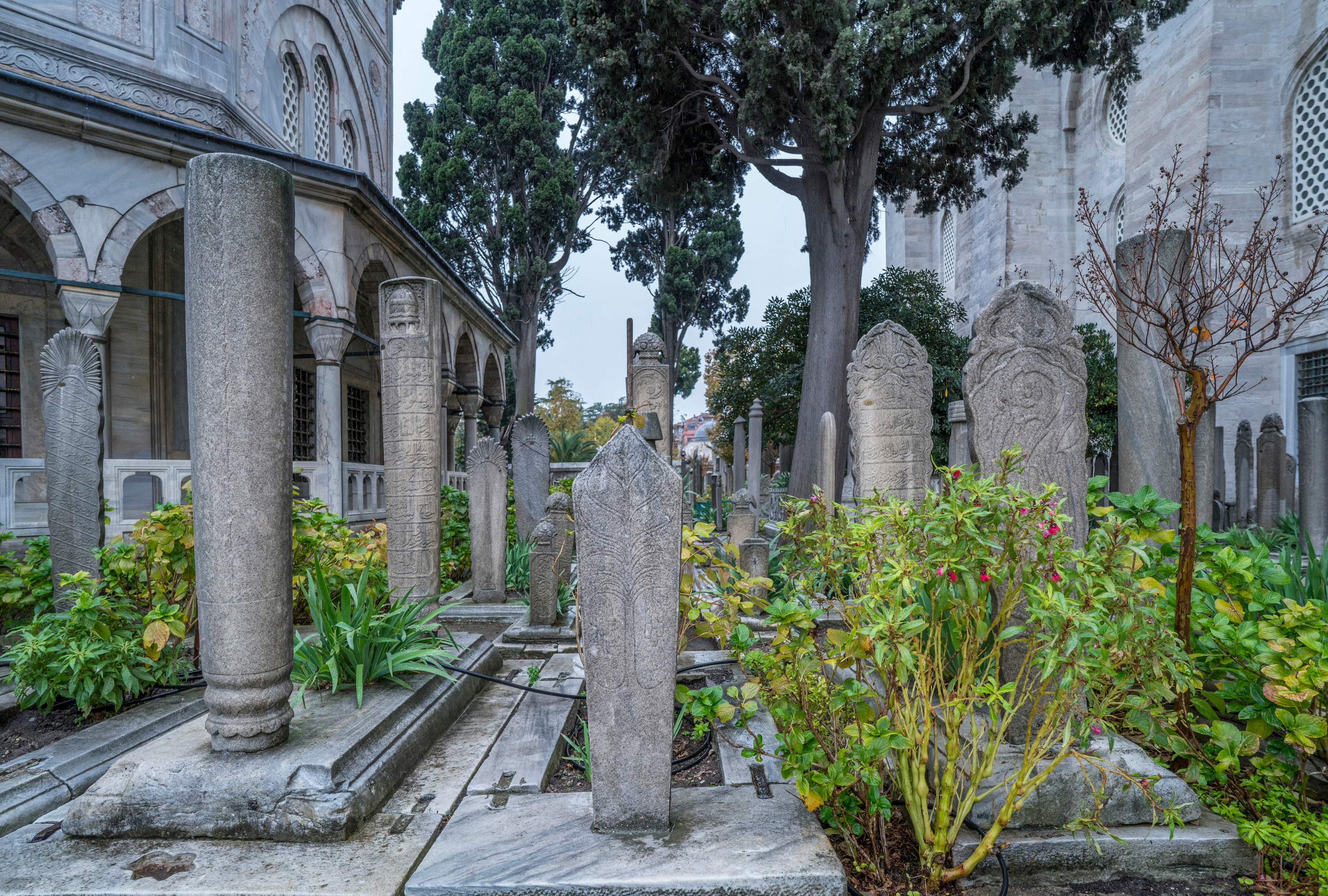 Стамбул (ноябрь 2018). Фотограф Сергей Танков