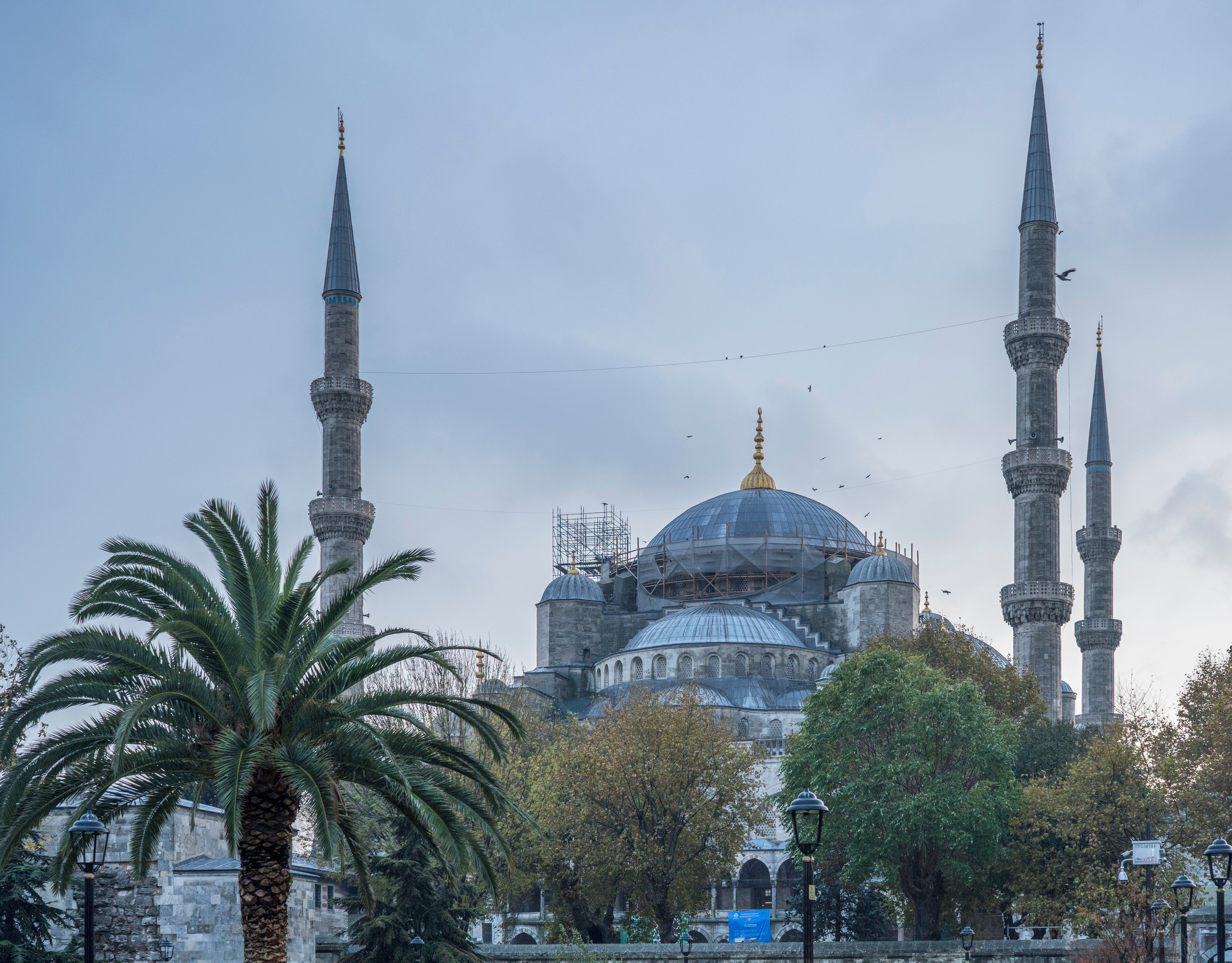 Стамбул (ноябрь 2018). Фотограф Сергей Танков