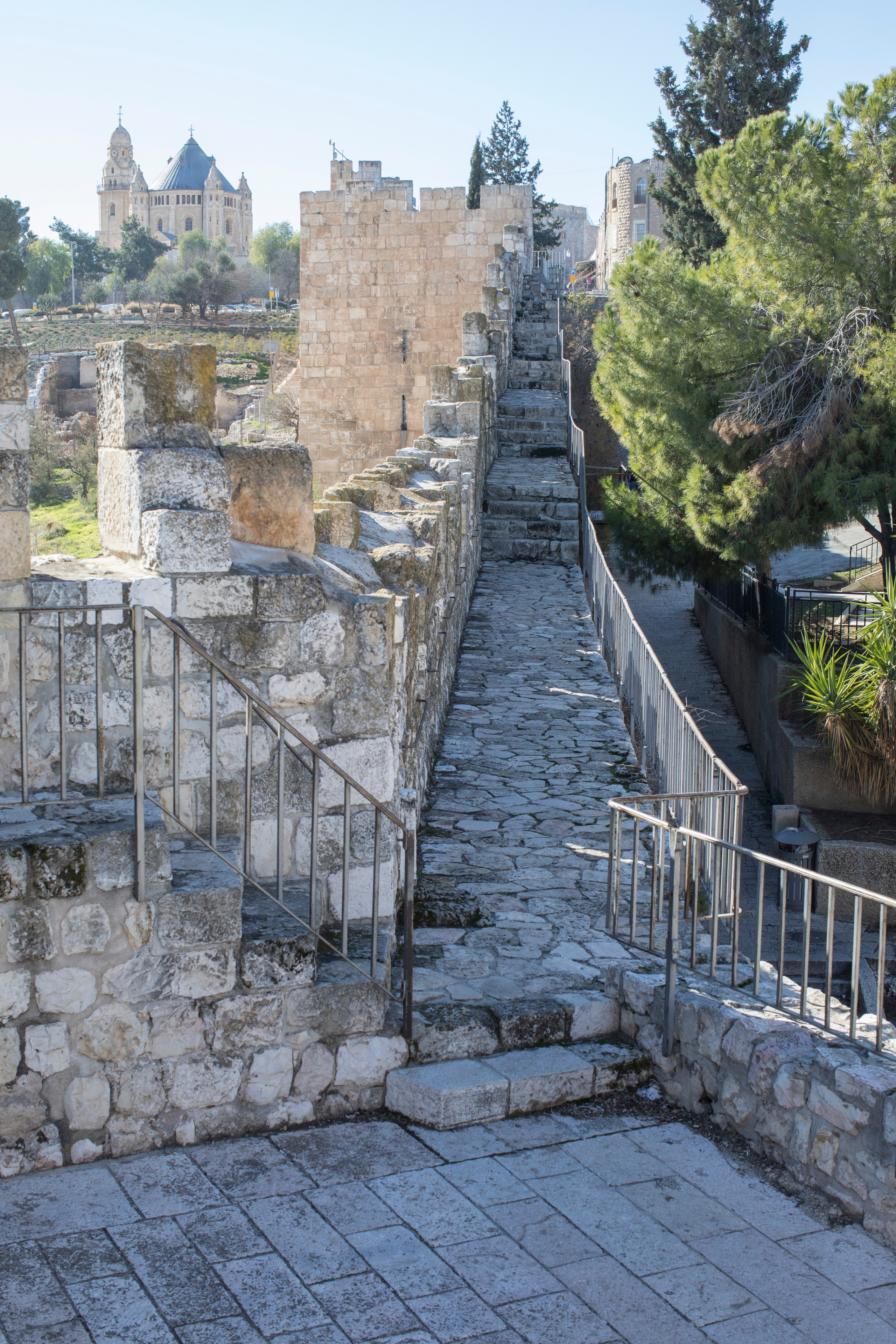 Израиль (январь 2017). Фотограф Сергей Танков