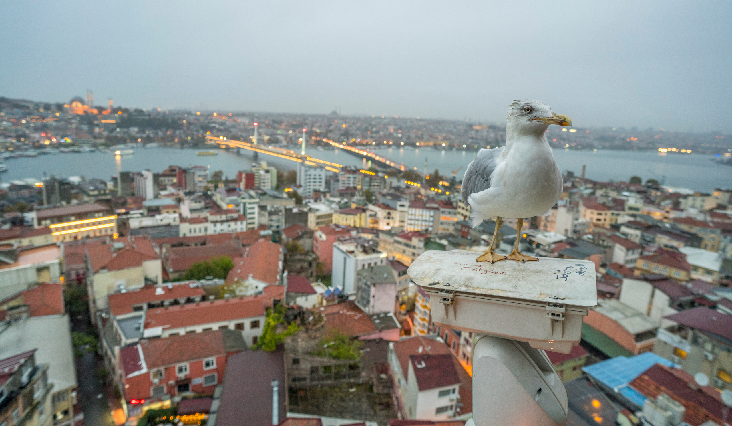 Стамбул (ноябрь 2018). Фотограф Сергей Танков