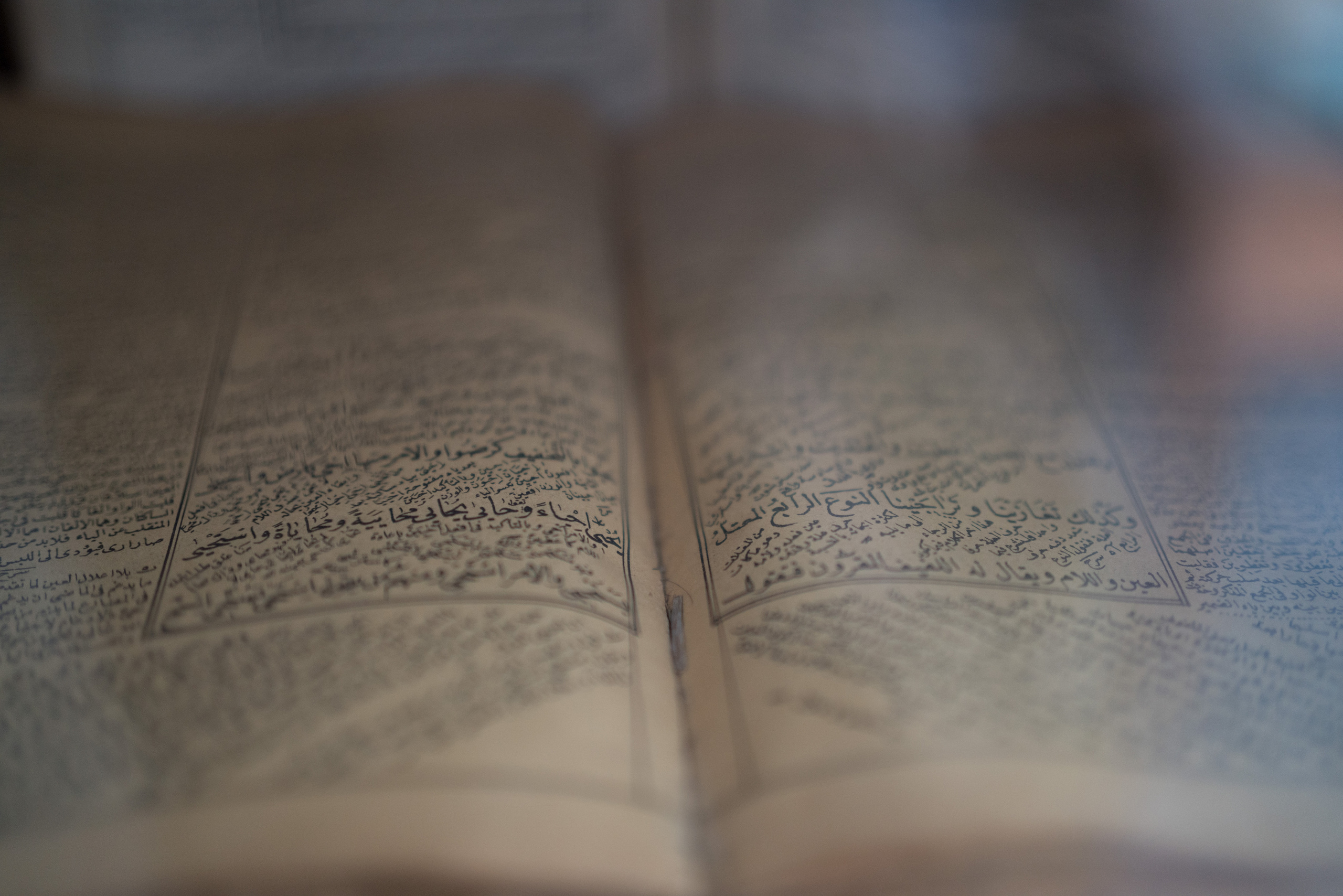 Азербайджан (апрель 2018). Фотограф Сергей Танков