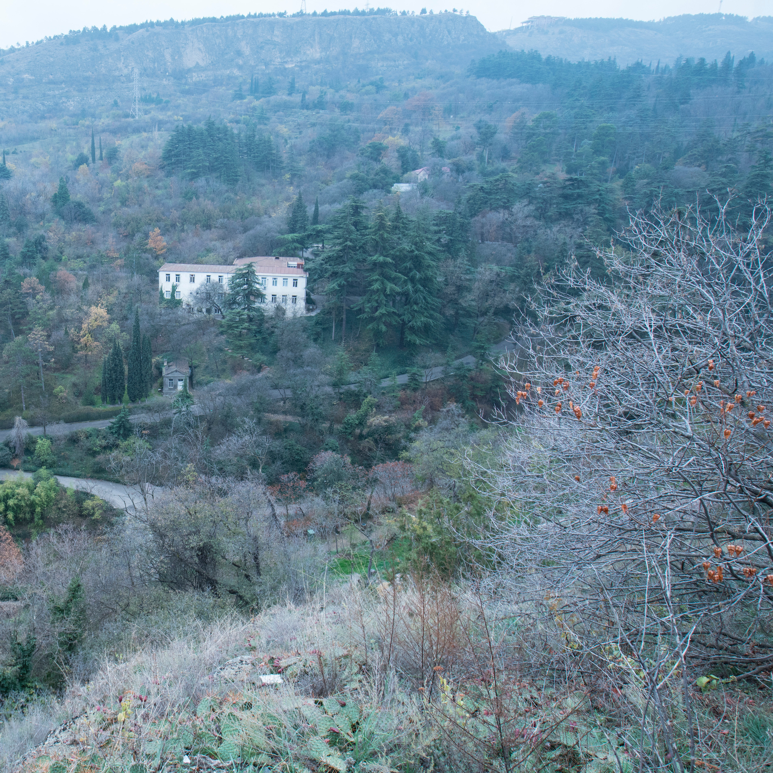 Грузия (декабрь 2017). Фотограф Сергей Танков