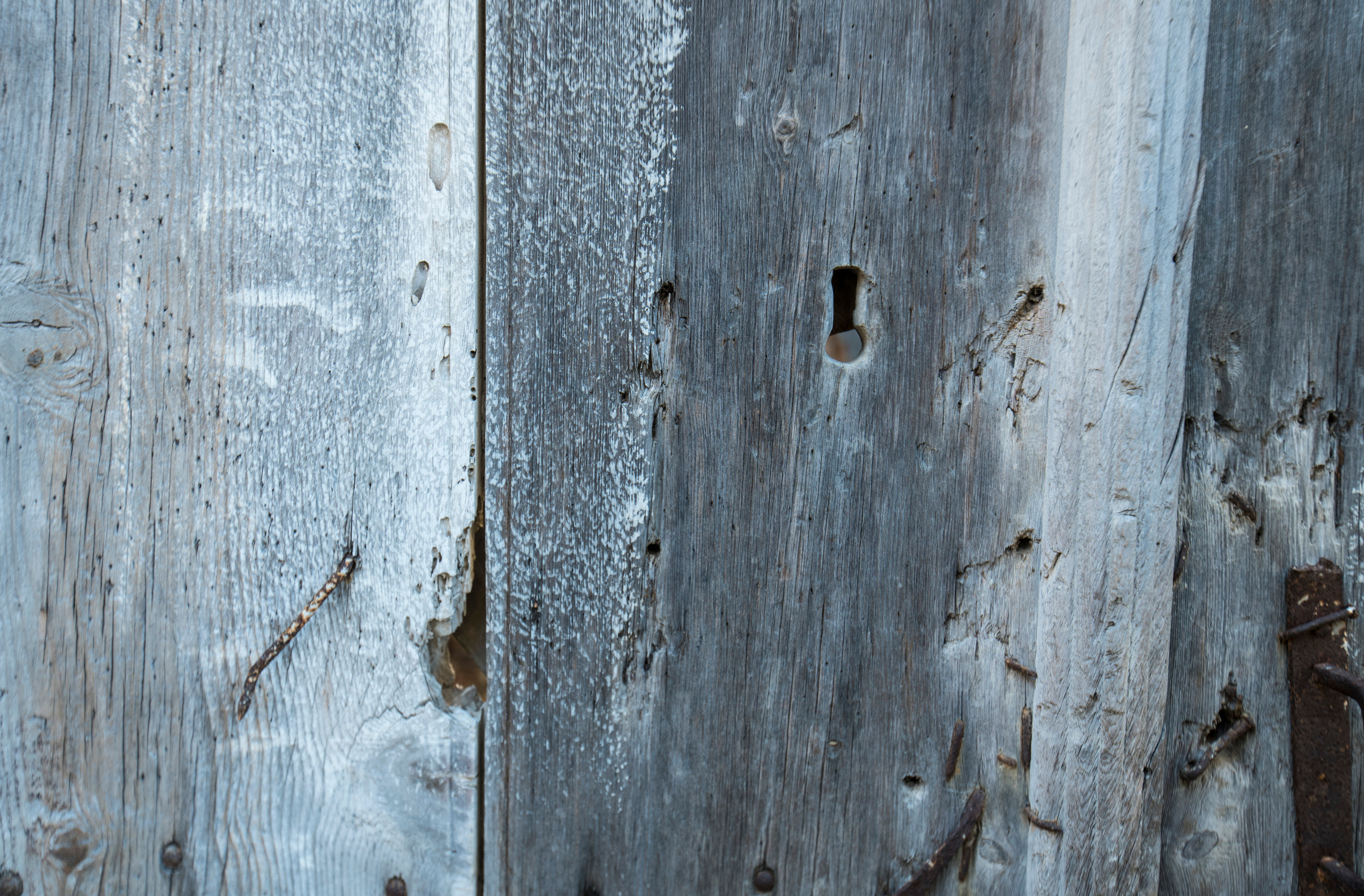 Кипр (январь 2018). Фотограф Сергей Танков