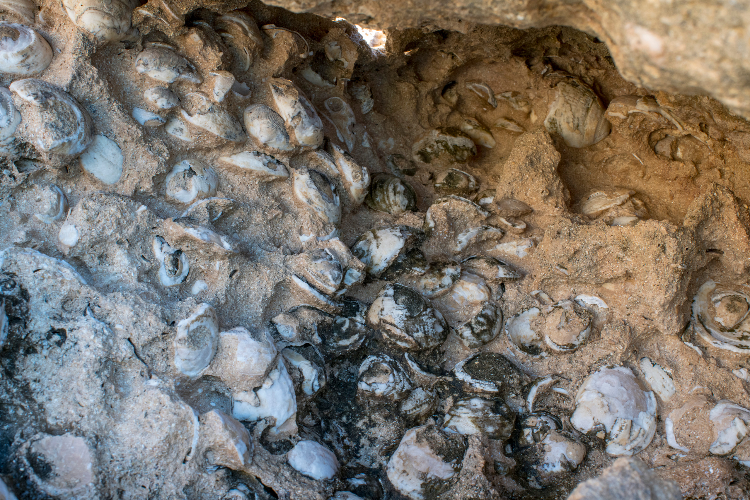 Кипр (январь 2018). Фотограф Сергей Танков