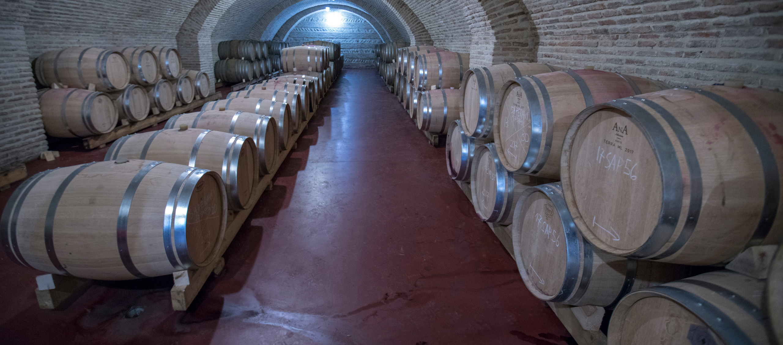 Грузия (декабрь 2017). Фотограф Сергей Танков