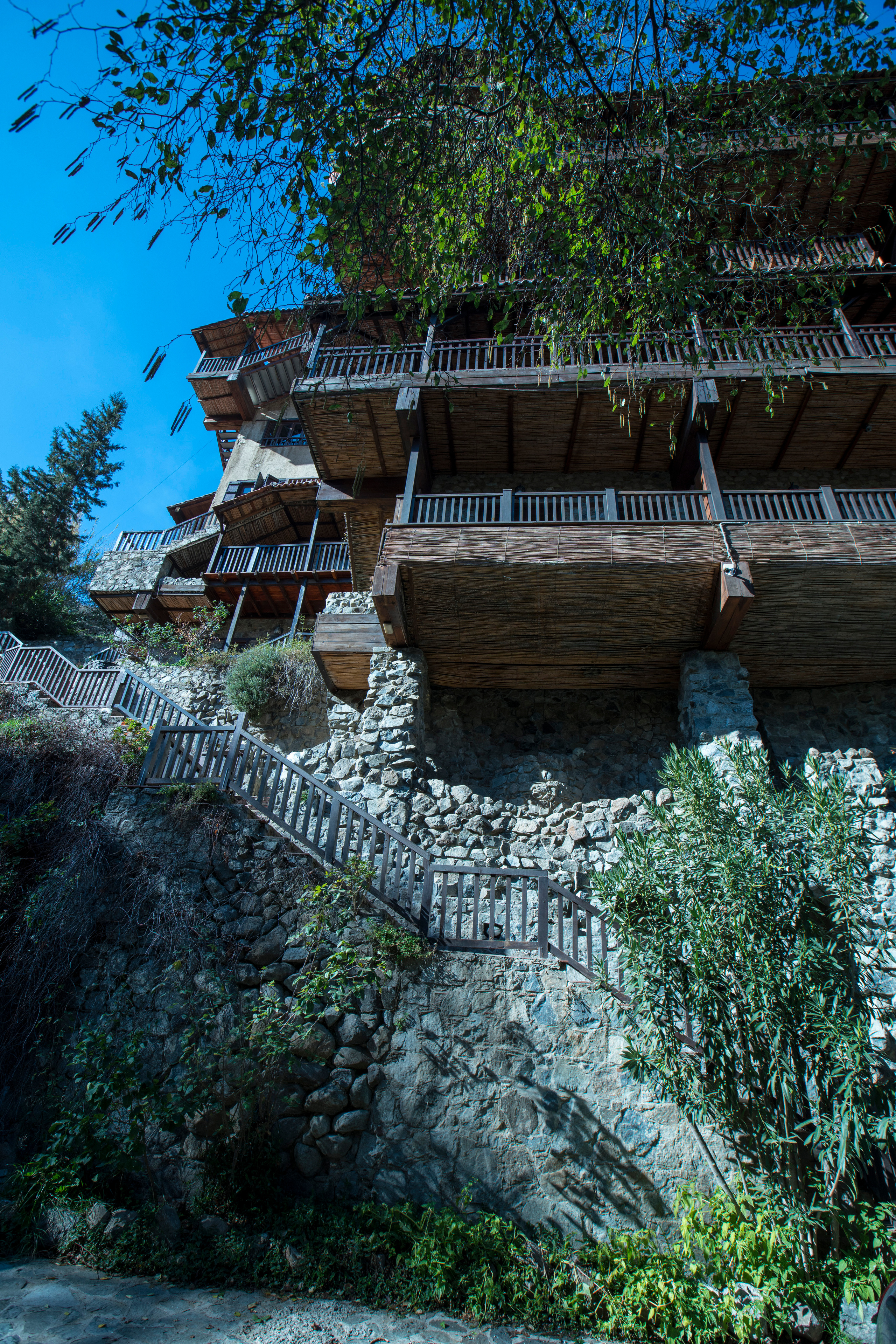 Кипр (январь 2018). Фотограф Сергей Танков