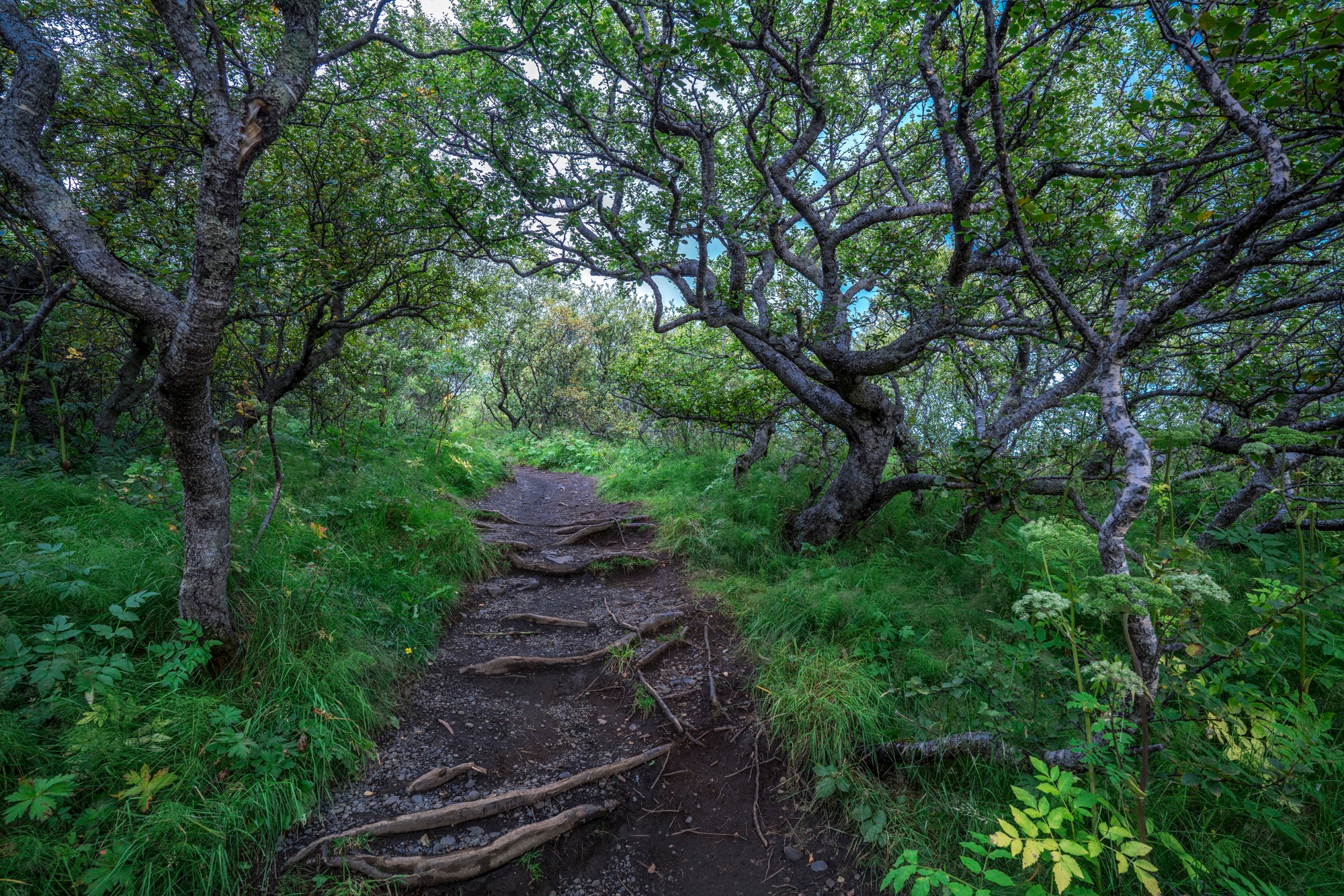 Исландия (август 2018). Фотограф Сергей Танков