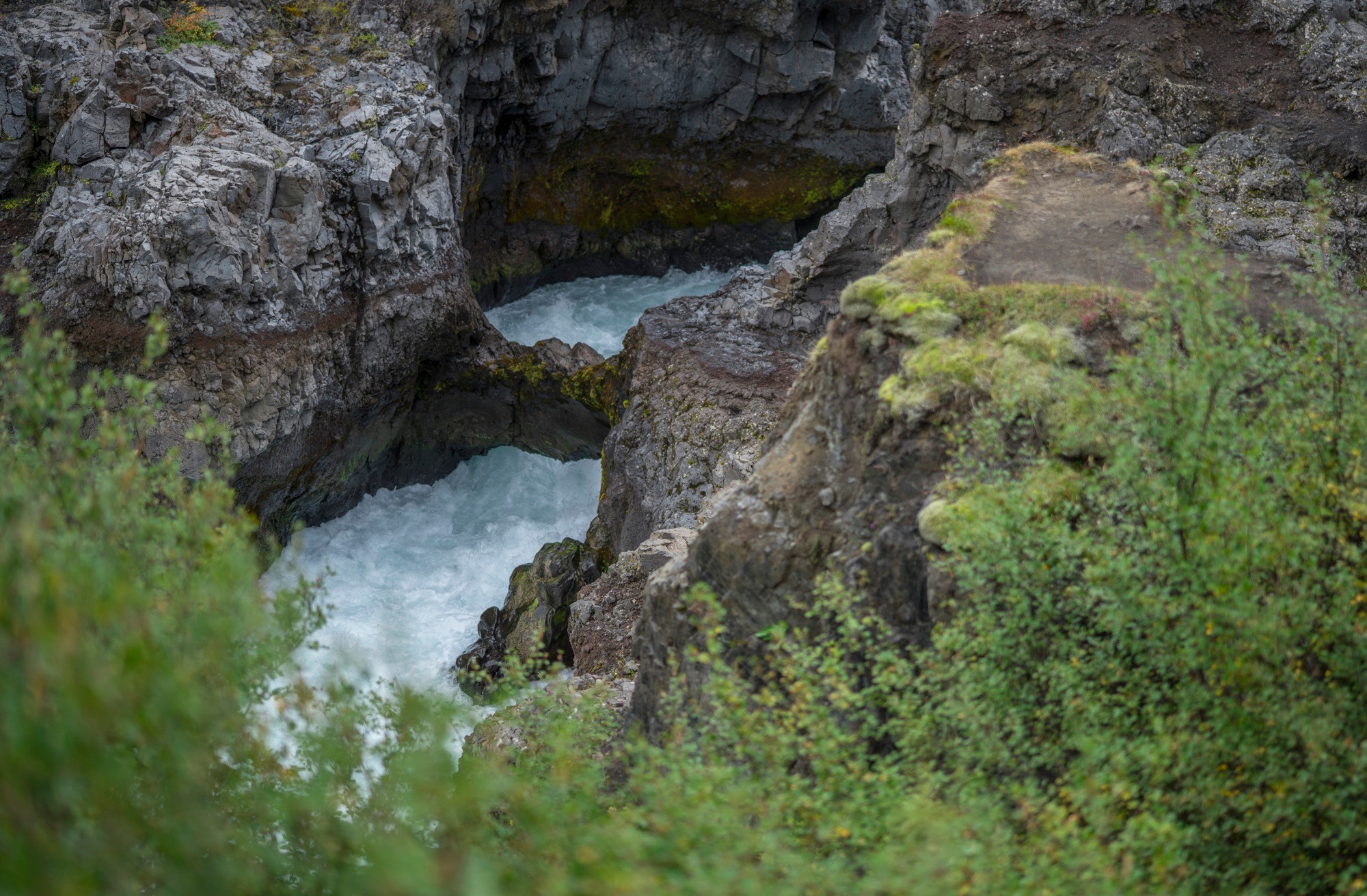 Исландия (август 2018). Фотограф Сергей Танков