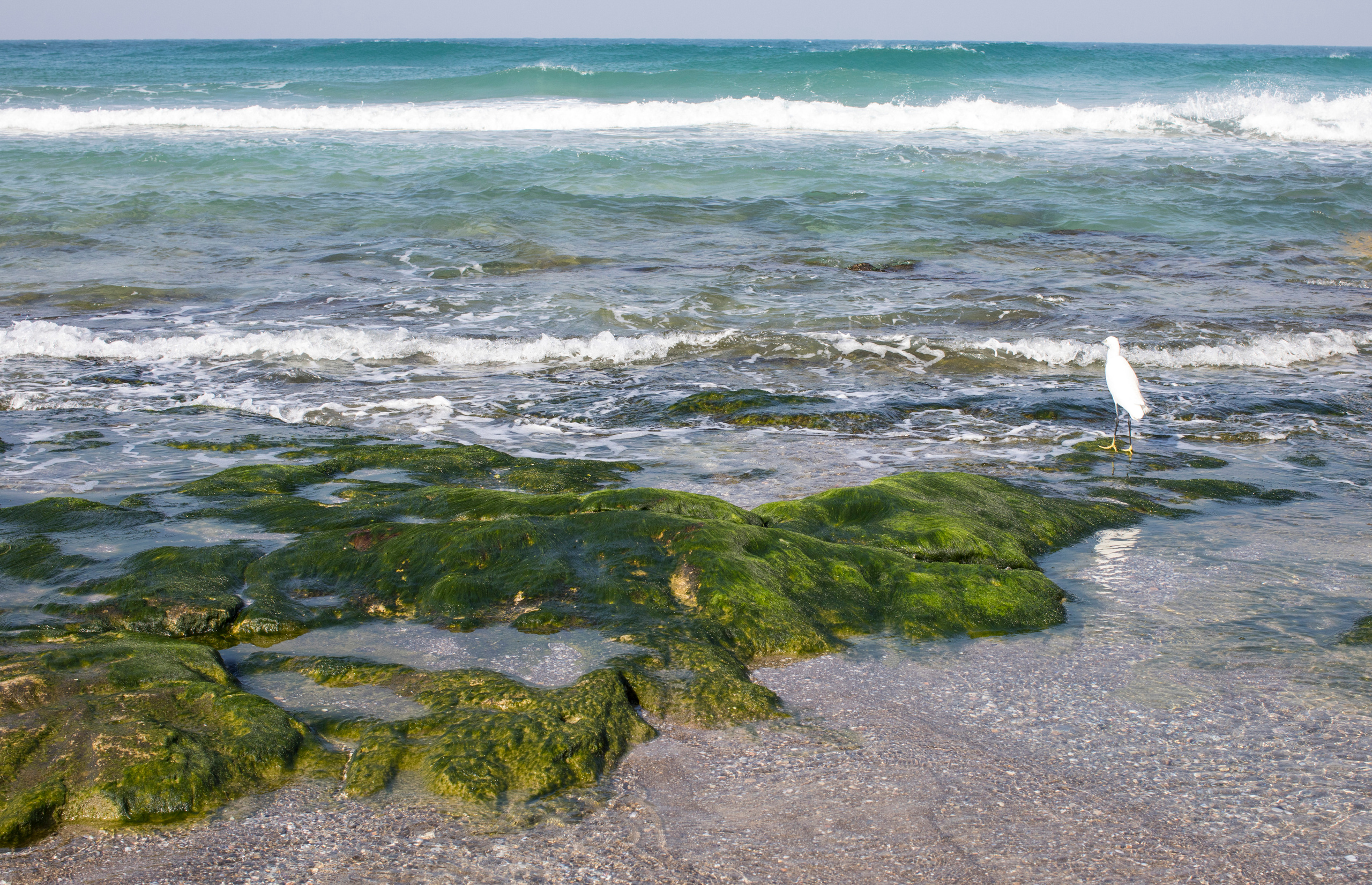 Израиль (январь 2017). Фотограф Сергей Танков