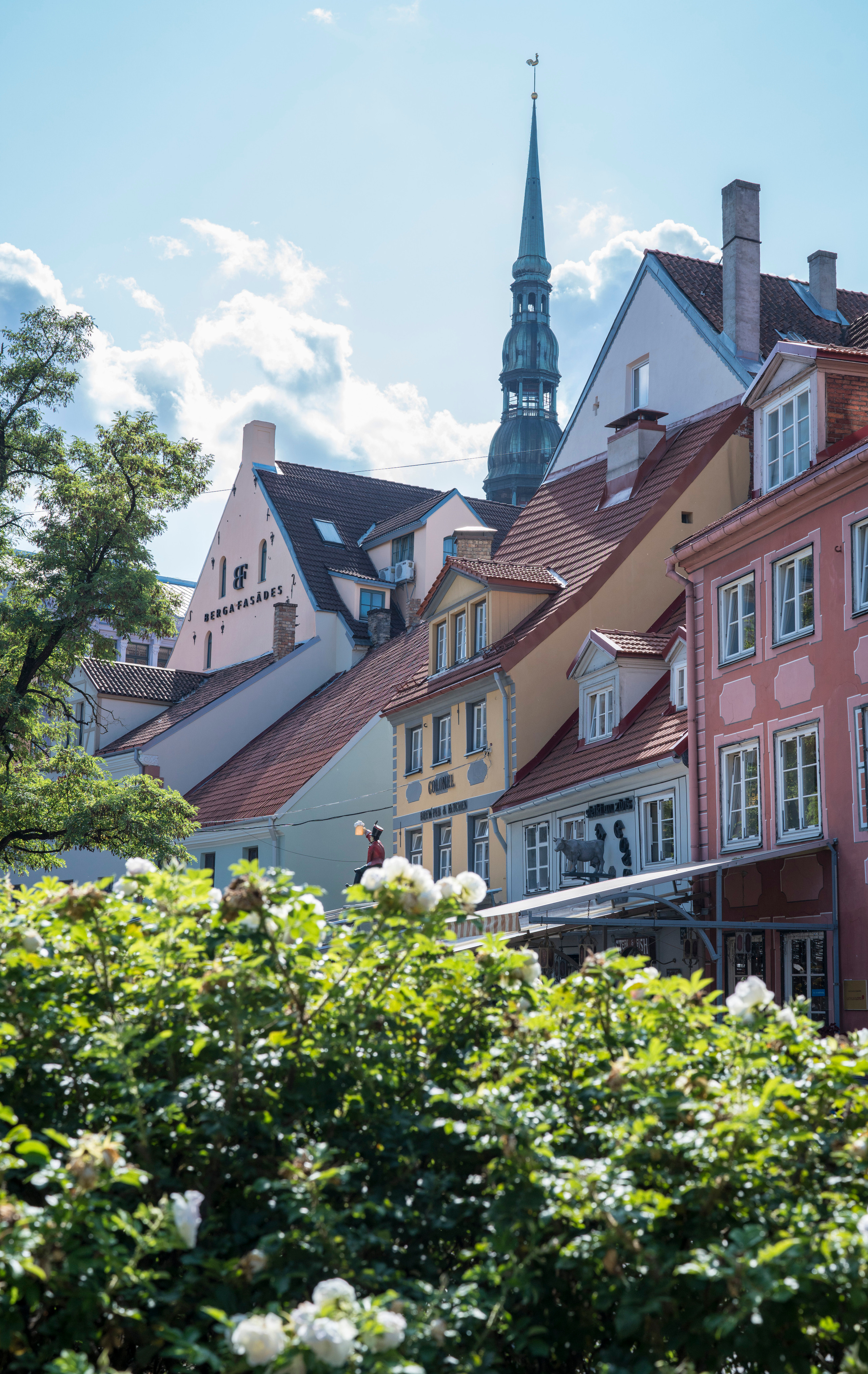 Рига (август 2018). Фотограф Сергей Танков