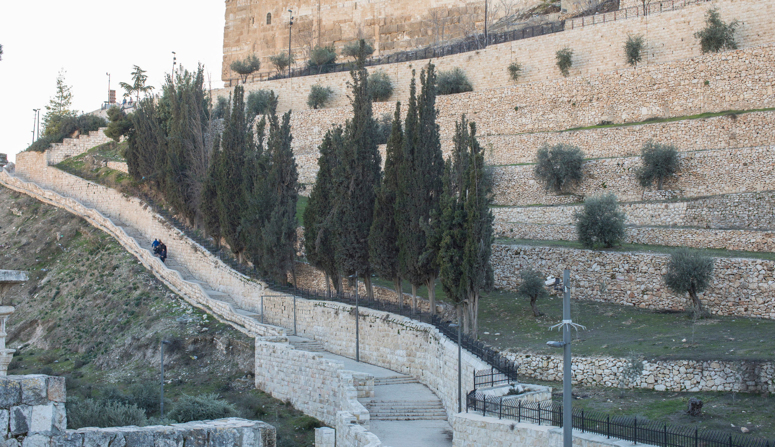 Израиль (январь 2017). Фотограф Сергей Танков