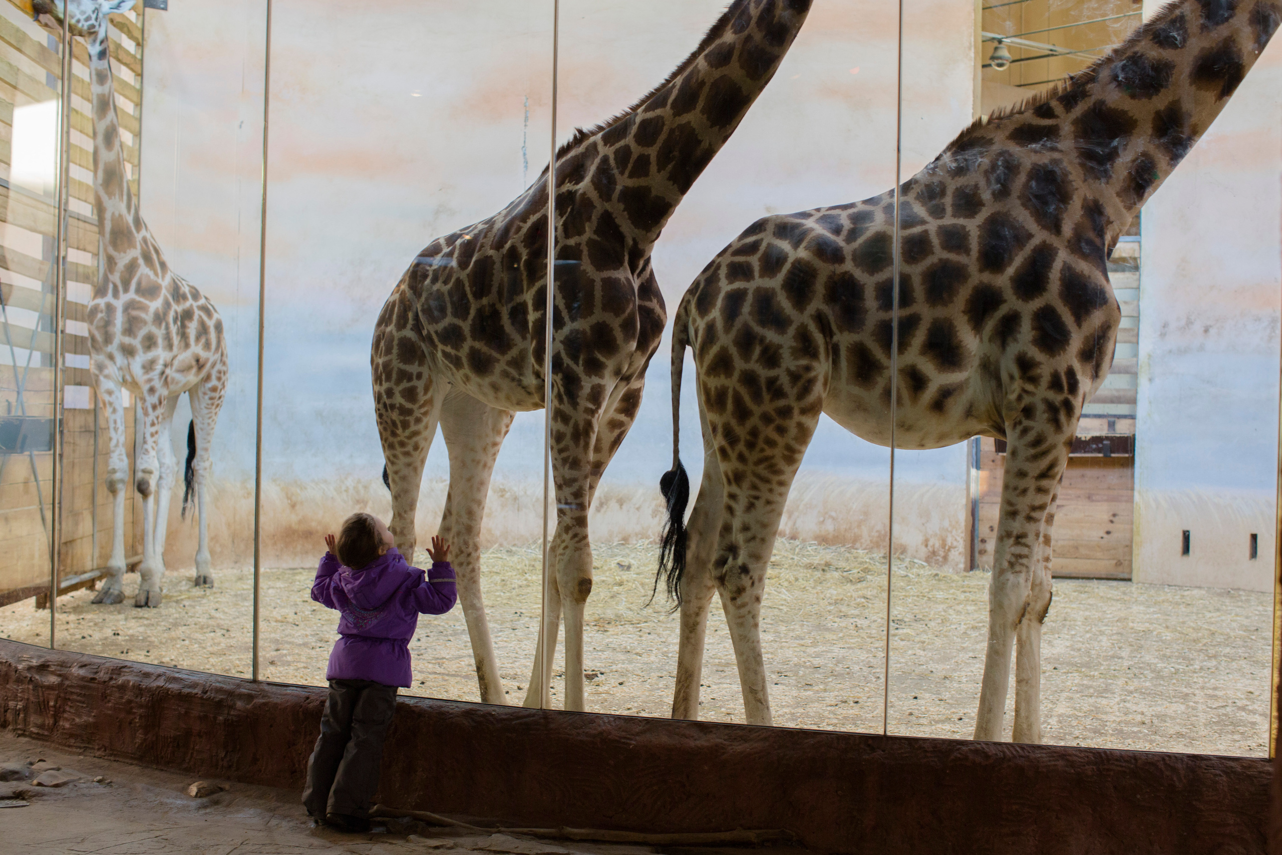 Прага (декабрь 2013). Фотограф Сергей Танков
