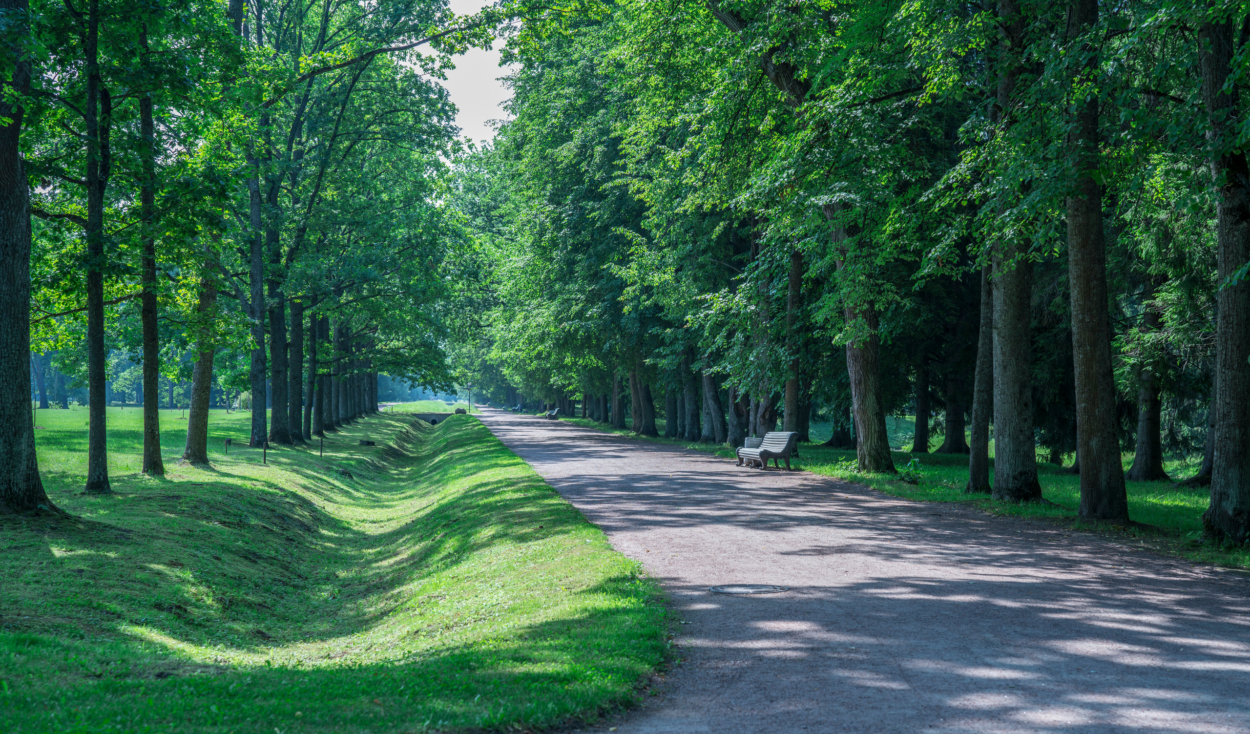 Питер (июль 2018). Фотограф Сергей Танков