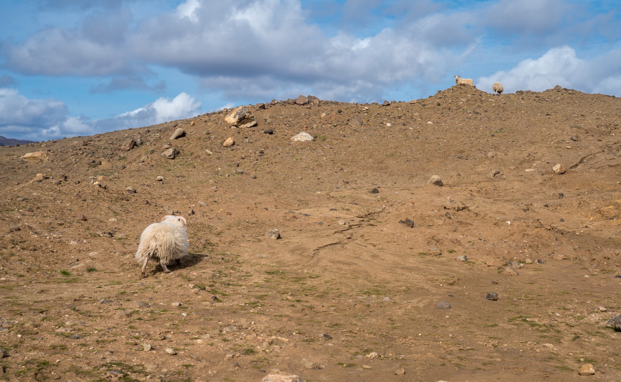 Исландия (август 2018). Фотограф Сергей Танков