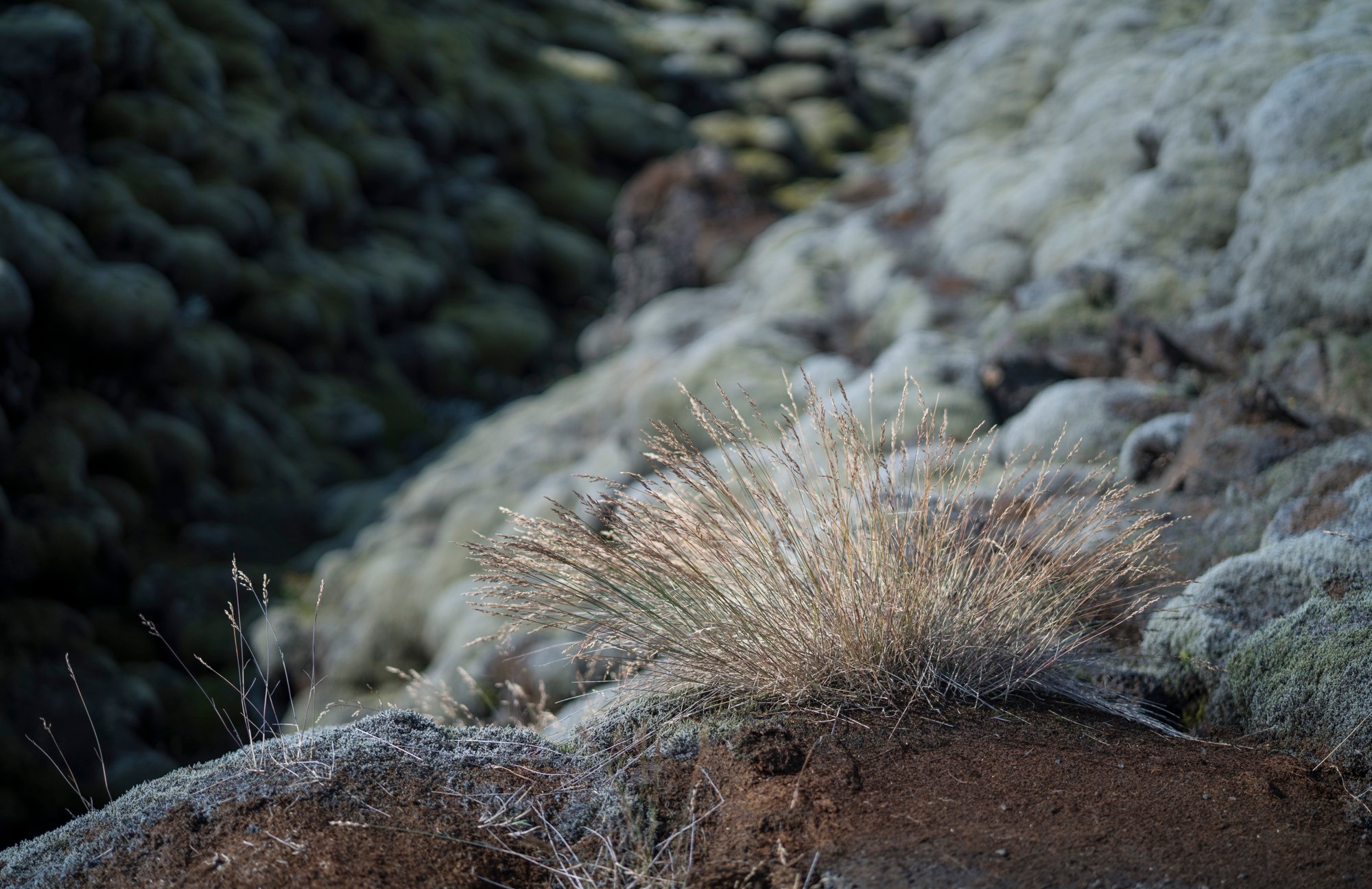 Исландия (август 2018). Фотограф Сергей Танков