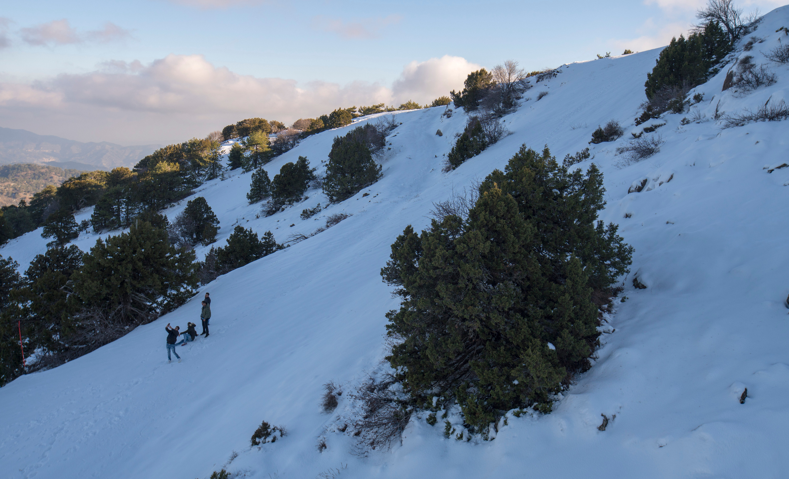 Кипр (январь 2018). Фотограф Сергей Танков